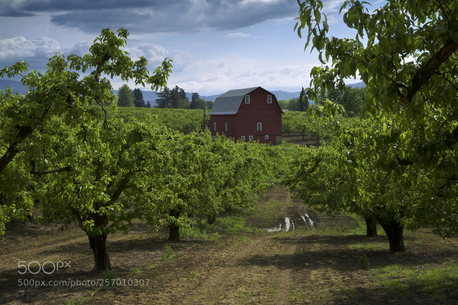 Nikon D750 sample photo. Red barn photography