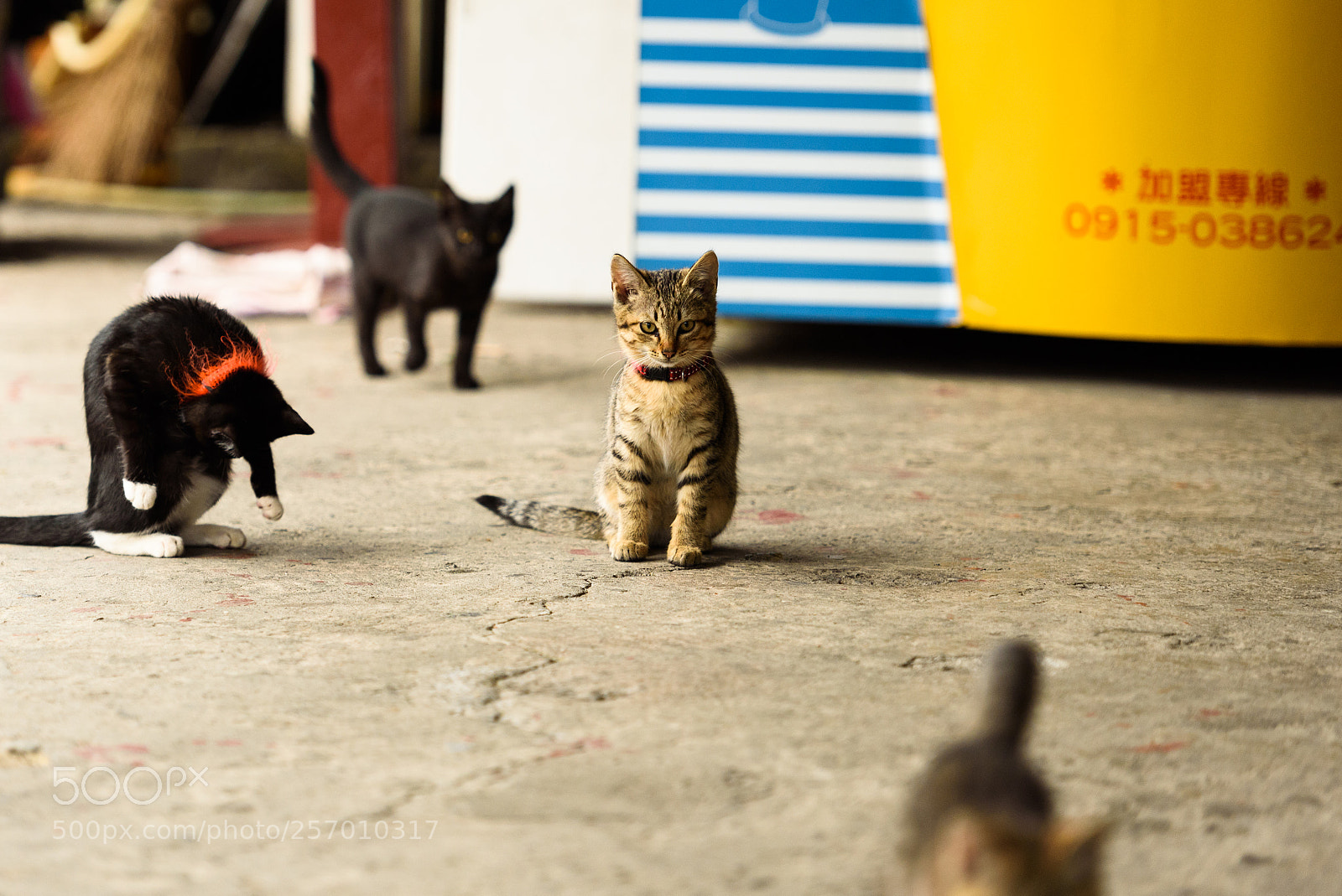 Nikon D750 sample photo. Taiwan trip photography