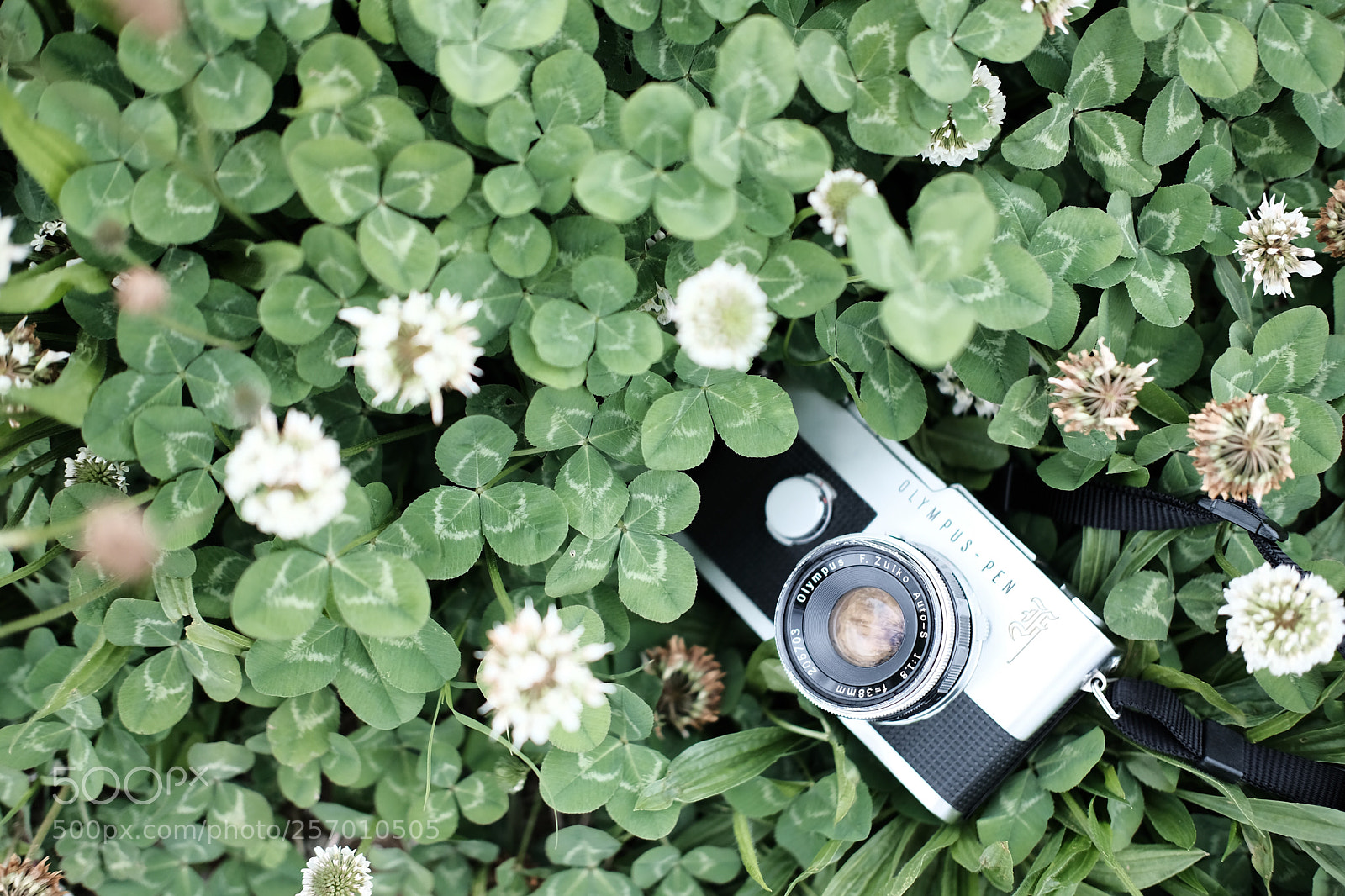 Fujifilm X-H1 sample photo. Analog photography