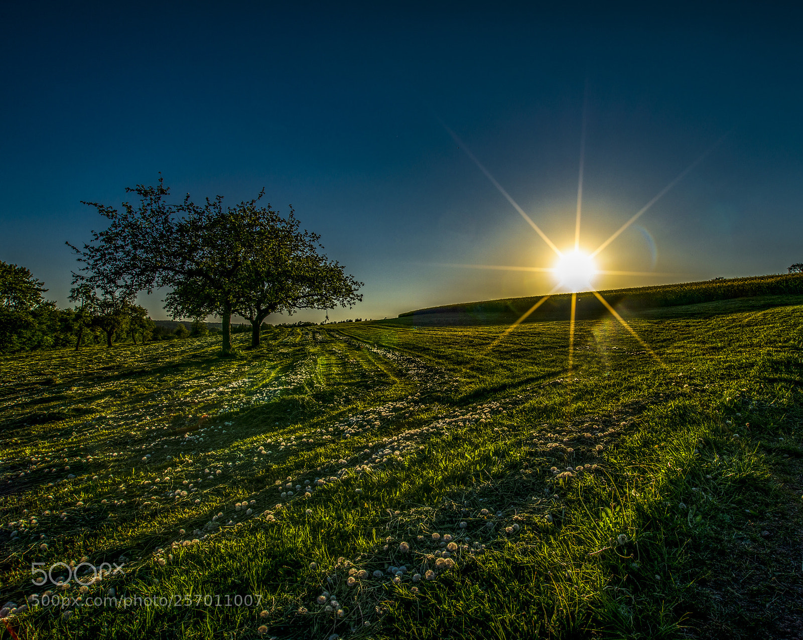 Nikon D800 sample photo. May sunset at the photography