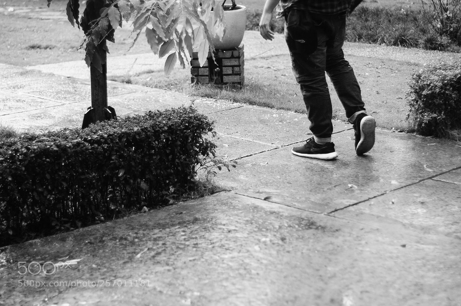 Nikon D300 sample photo. Lonely photography