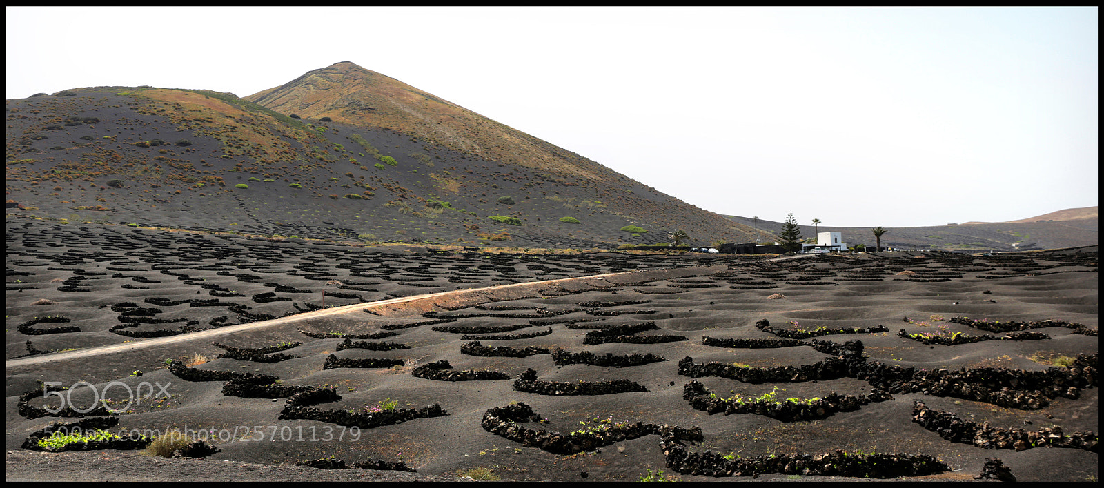 Canon EOS 6D sample photo. Vineyard  lanzarote photography