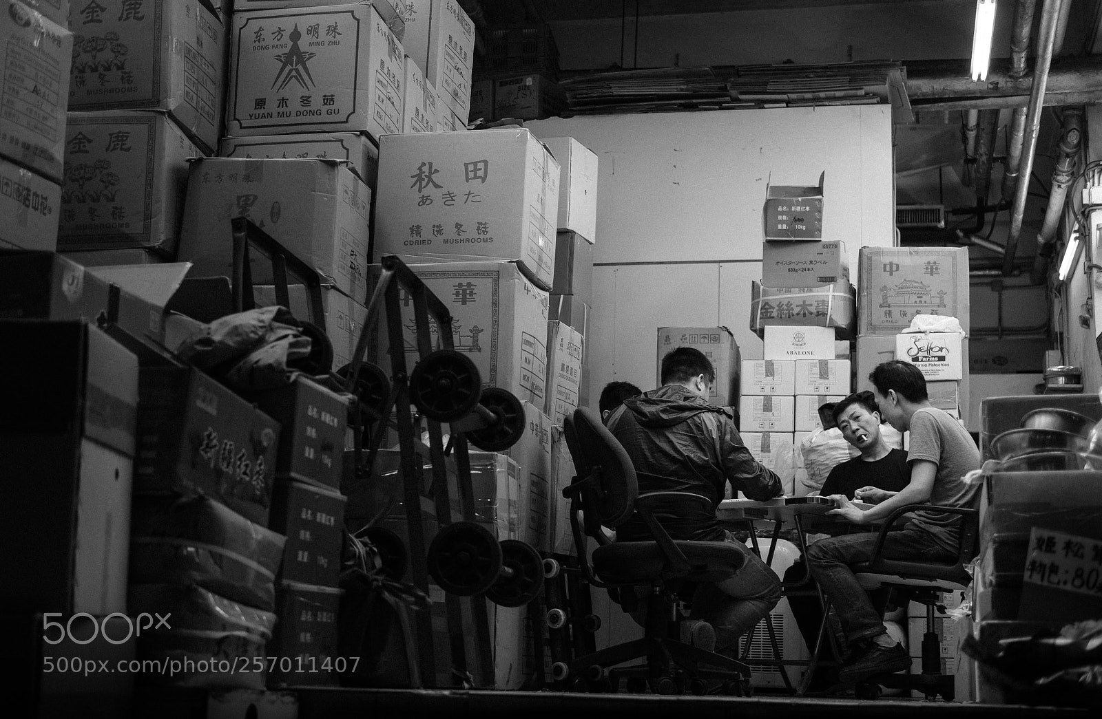Fujifilm X-Pro2 sample photo. ...hey, you! photography