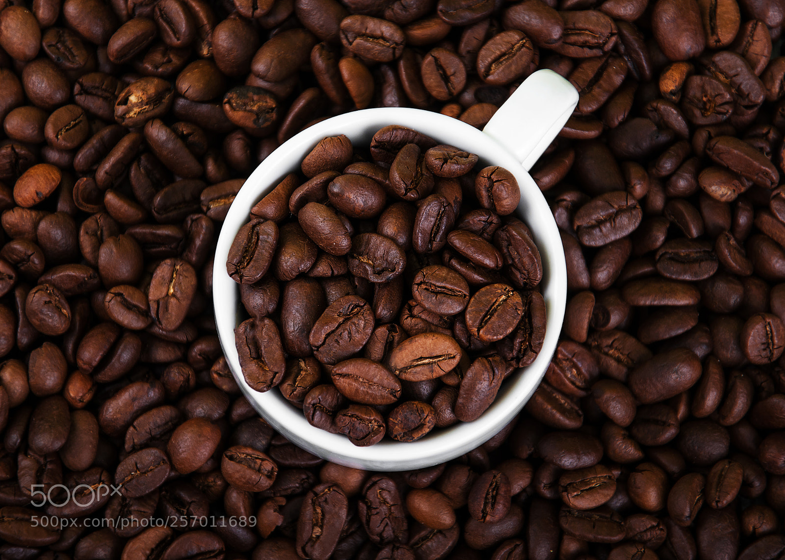 Nikon D90 sample photo. Cup full of coffee photography