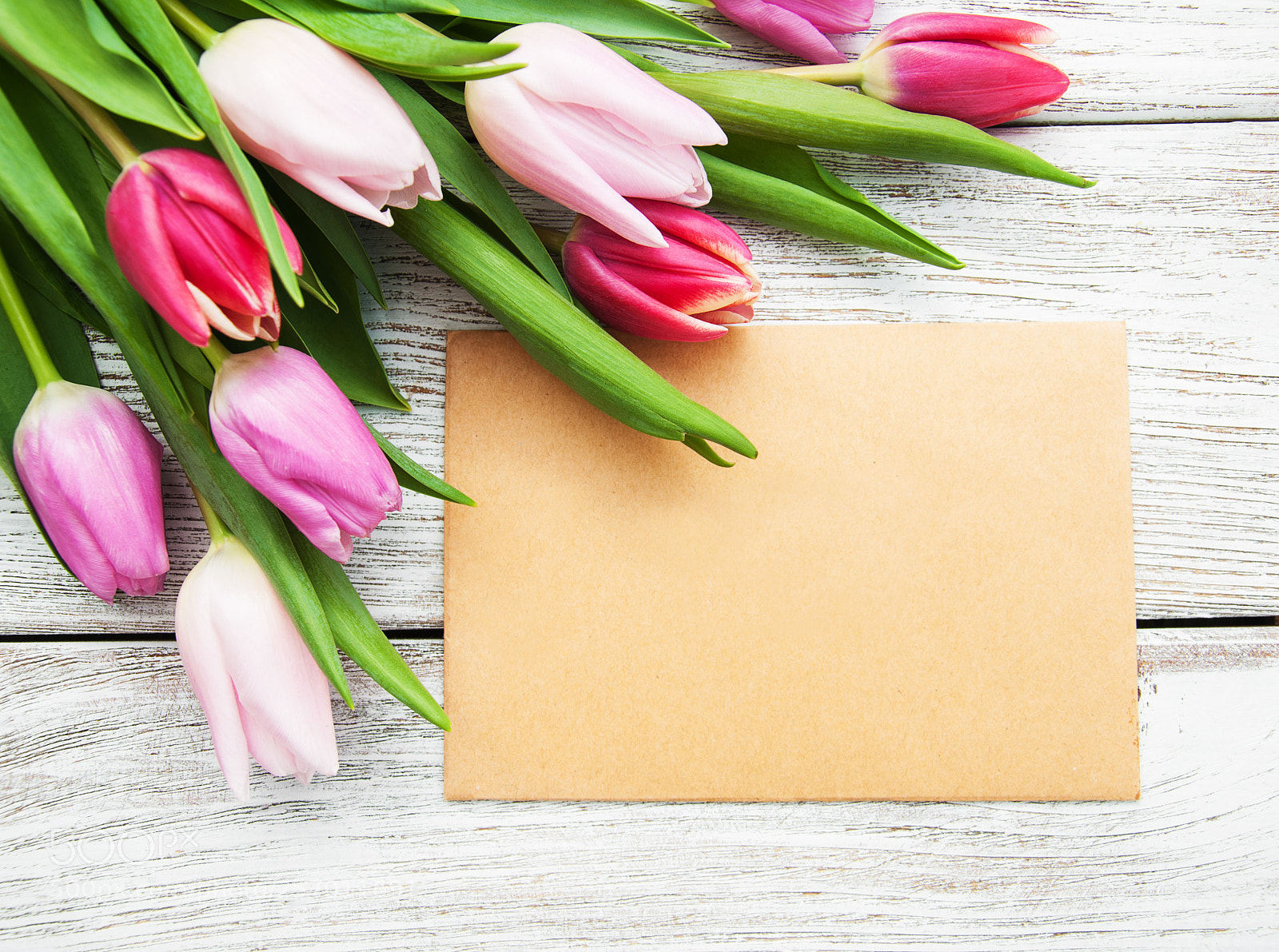Nikon D90 sample photo. Spring tulips flowers and photography