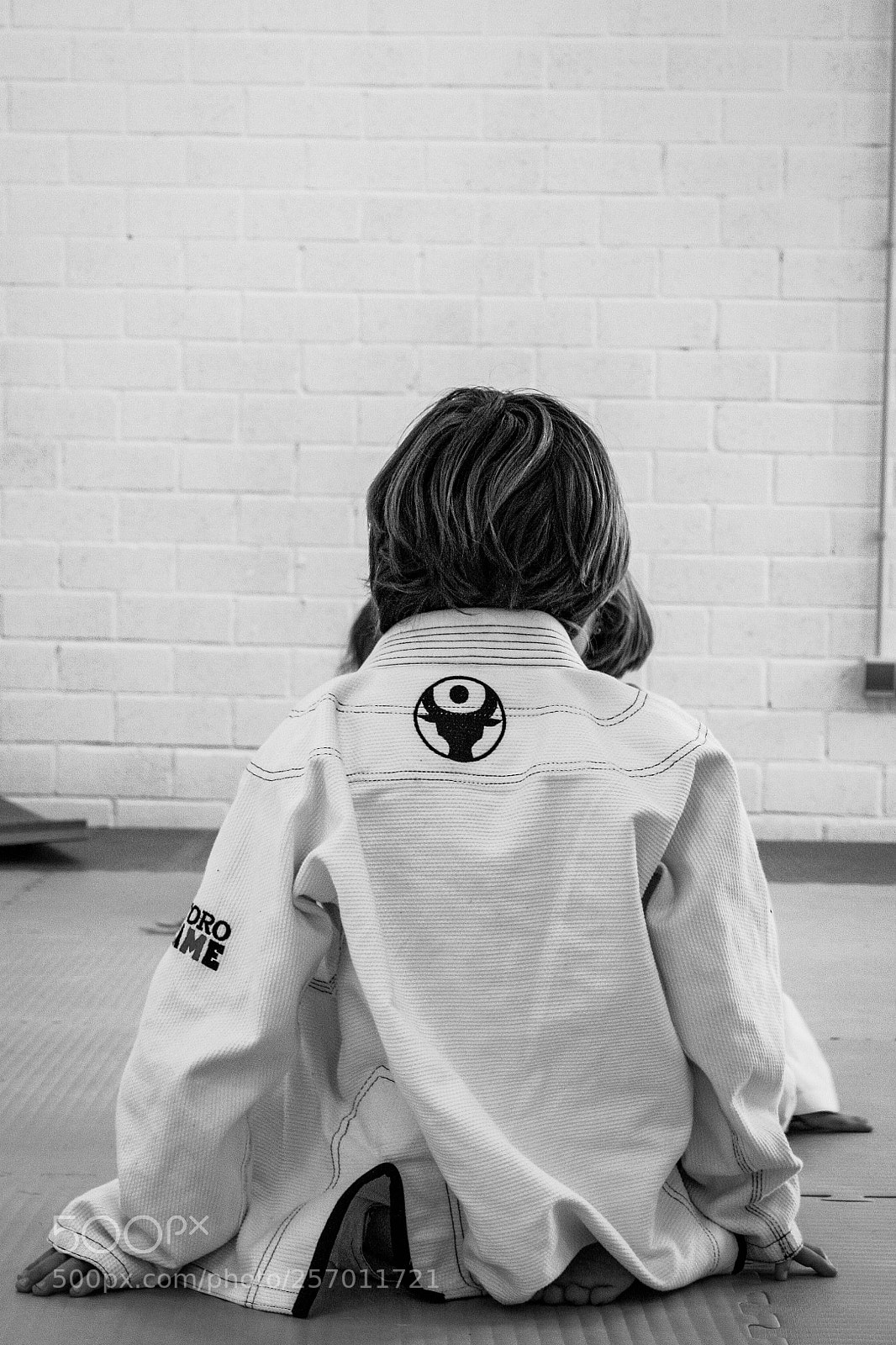Canon EOS 450D (EOS Rebel XSi / EOS Kiss X2) sample photo. Toro gatame kit photography