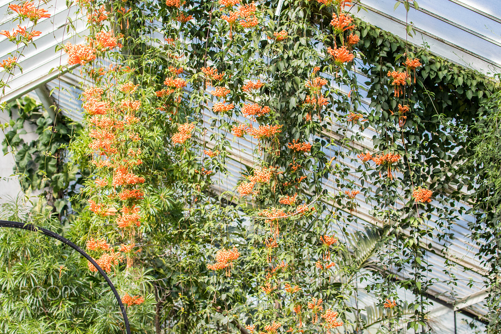 Canon EOS 7D Mark II sample photo. A bit of travel photography