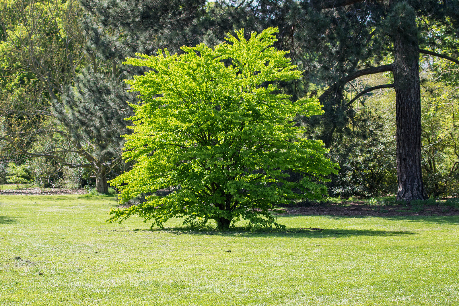 Canon EOS 7D Mark II sample photo. A bit of travel photography