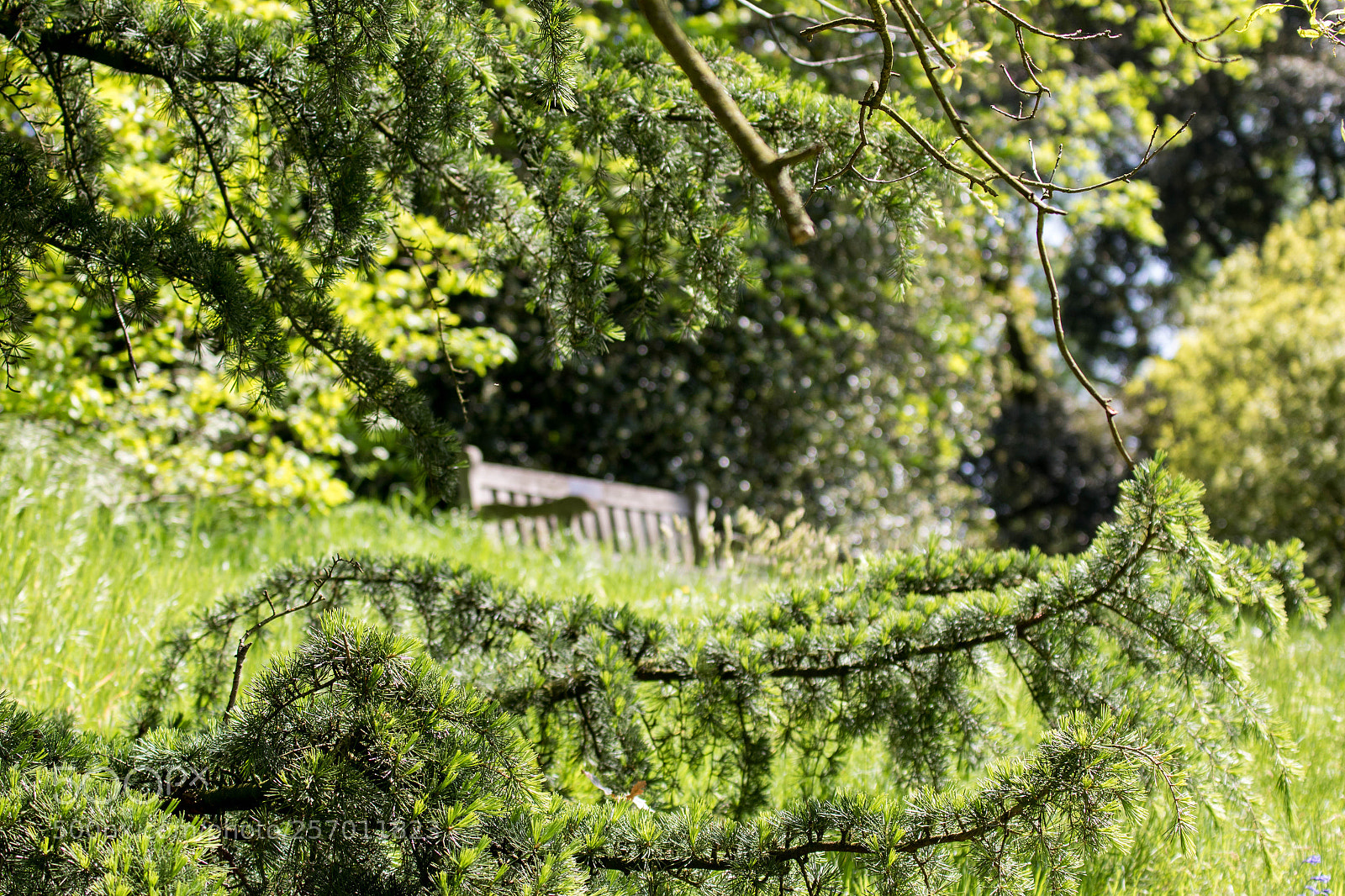 Canon EOS 7D Mark II sample photo. A bit of travel photography