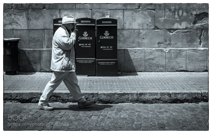 Olympus OM-D E-M1 Mark II sample photo. . photography