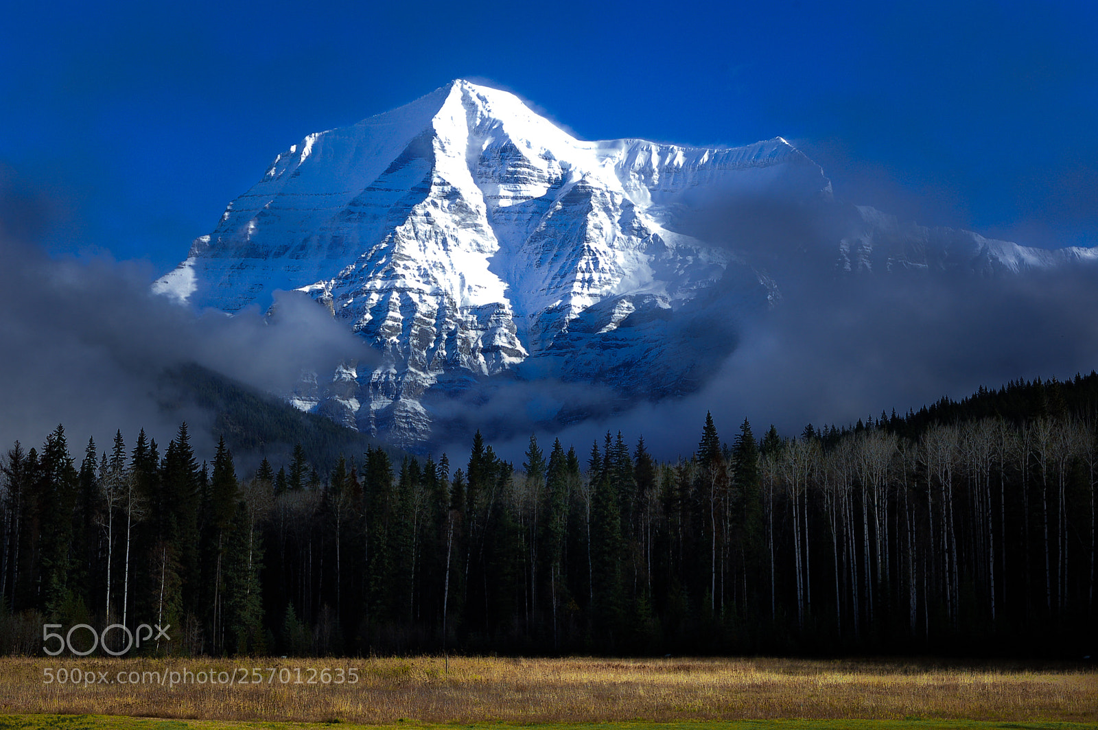 Nikon D50 sample photo. Robson mt. canada photography