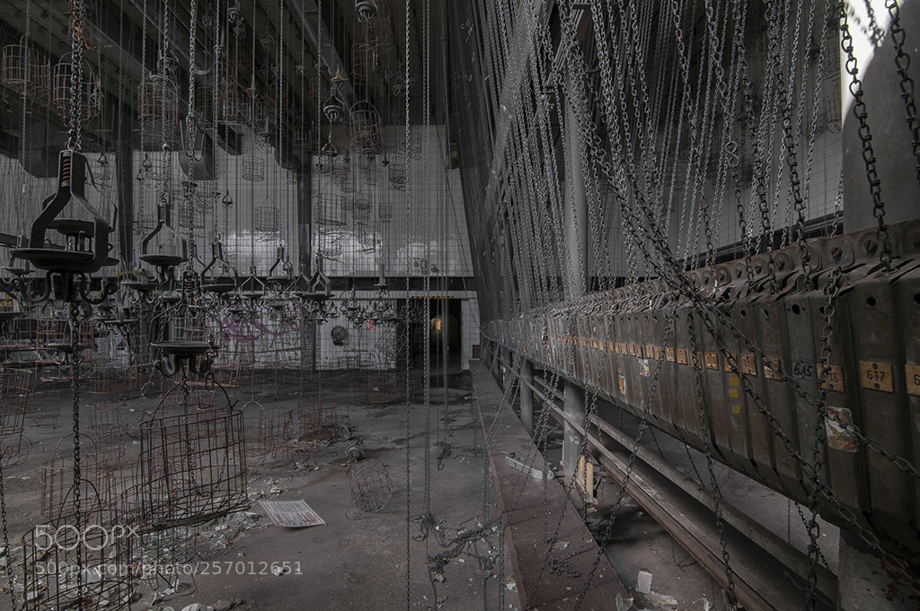 Nikon D300S sample photo. Rivoluzione industriale photography