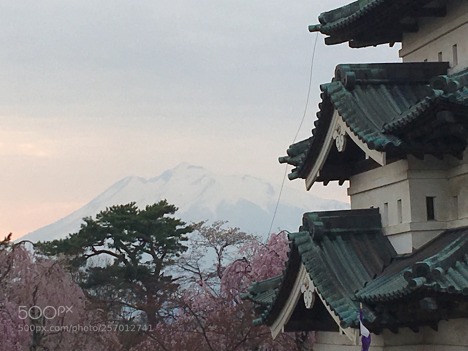 Apple iPhone 6s Plus sample photo. Mt.iwaki 20180428 photography