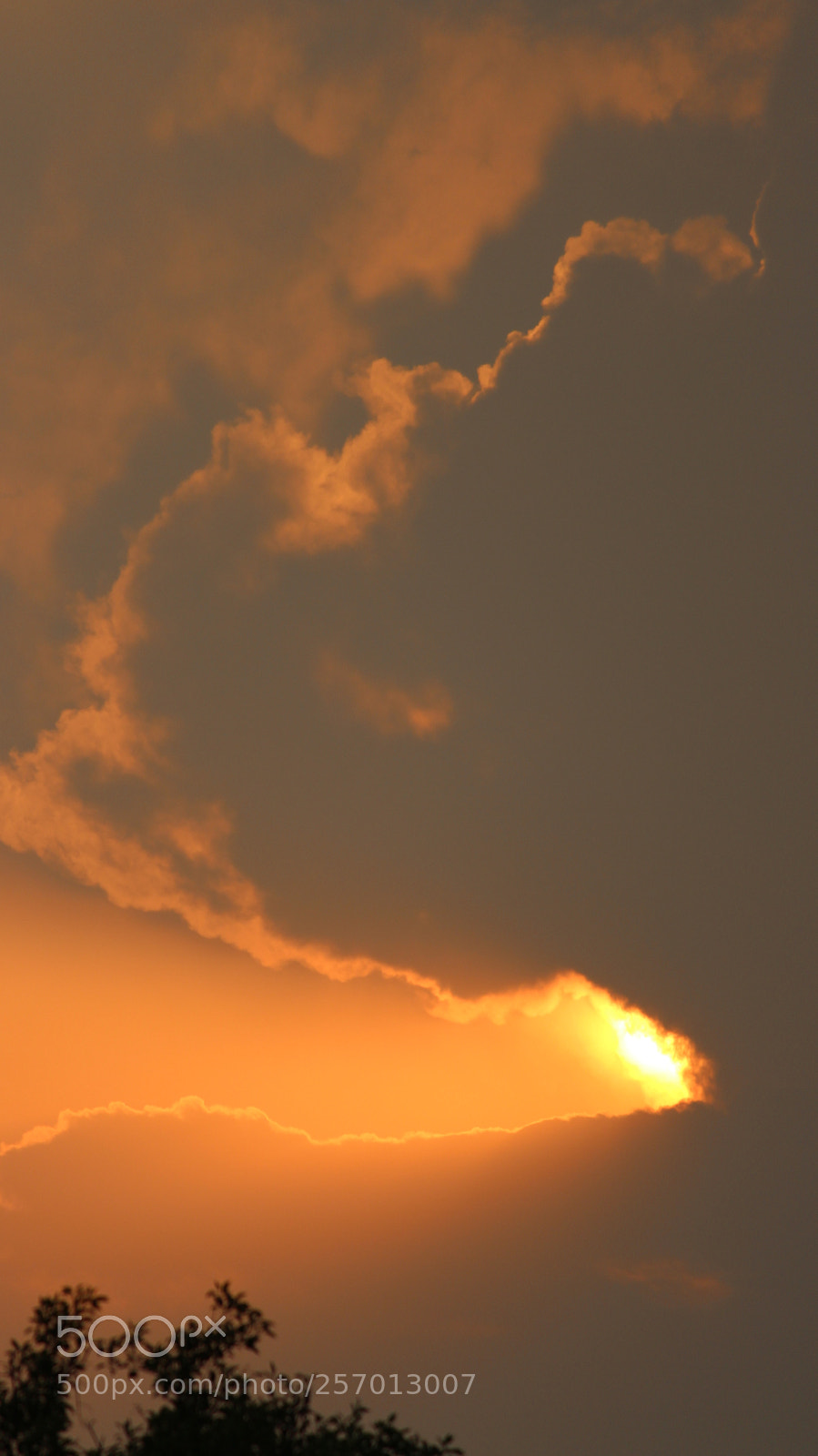 Canon EF-S 55-250mm F4-5.6 IS II sample photo. Sunset photography
