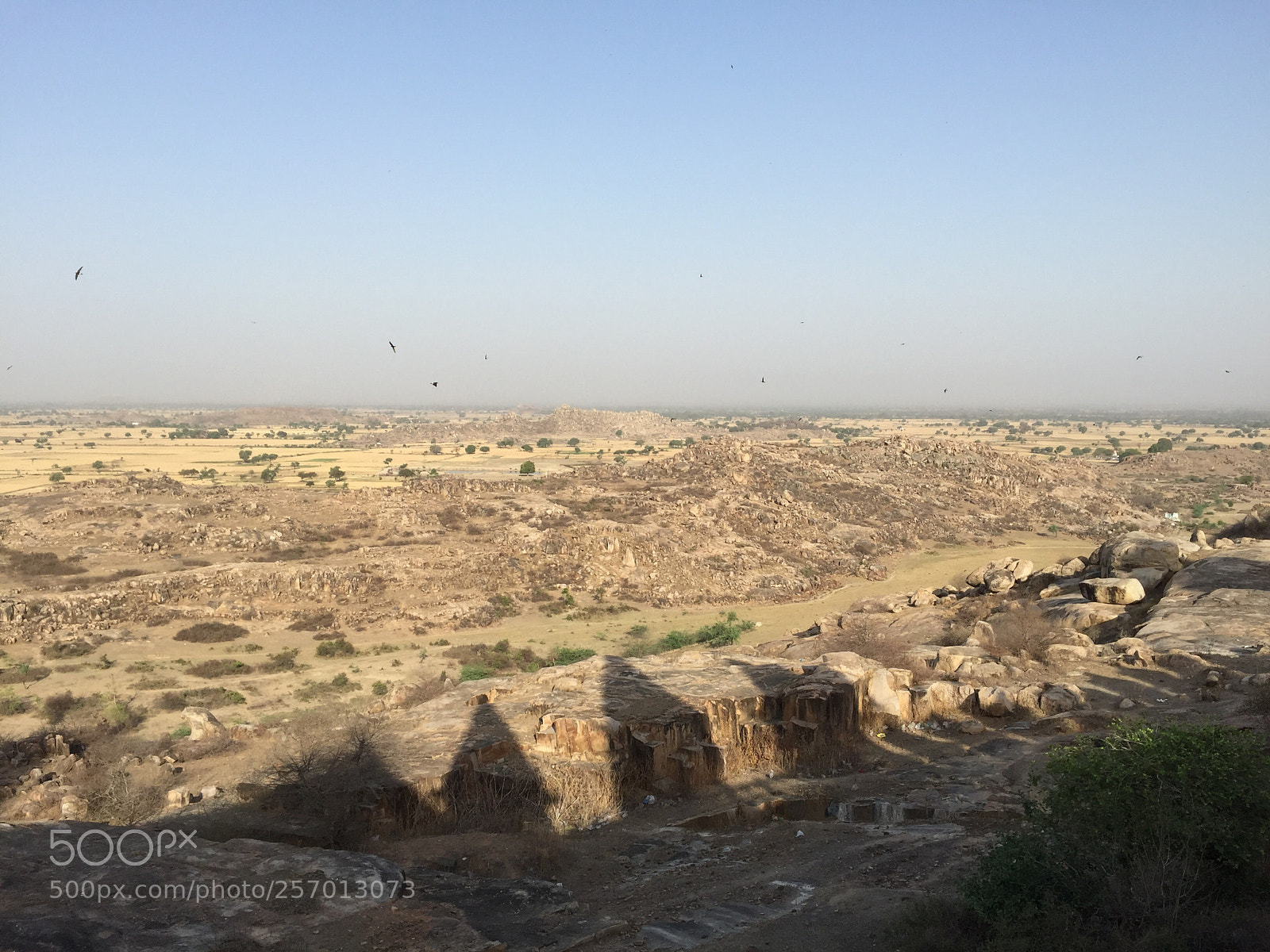 Apple iPhone 6 sample photo. Untitled photography