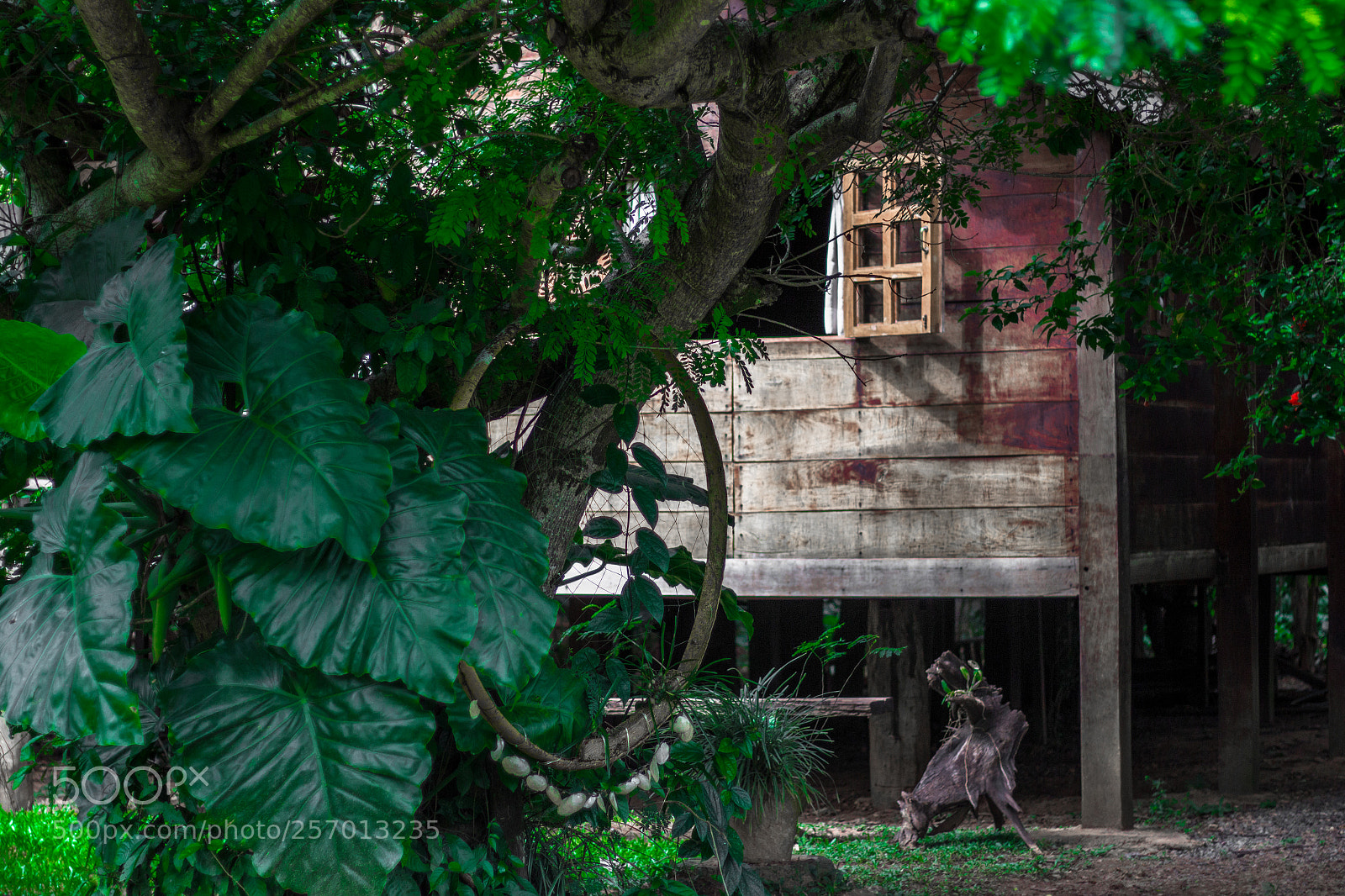 Canon EOS 700D (EOS Rebel T5i / EOS Kiss X7i) sample photo. Stilt house! photography