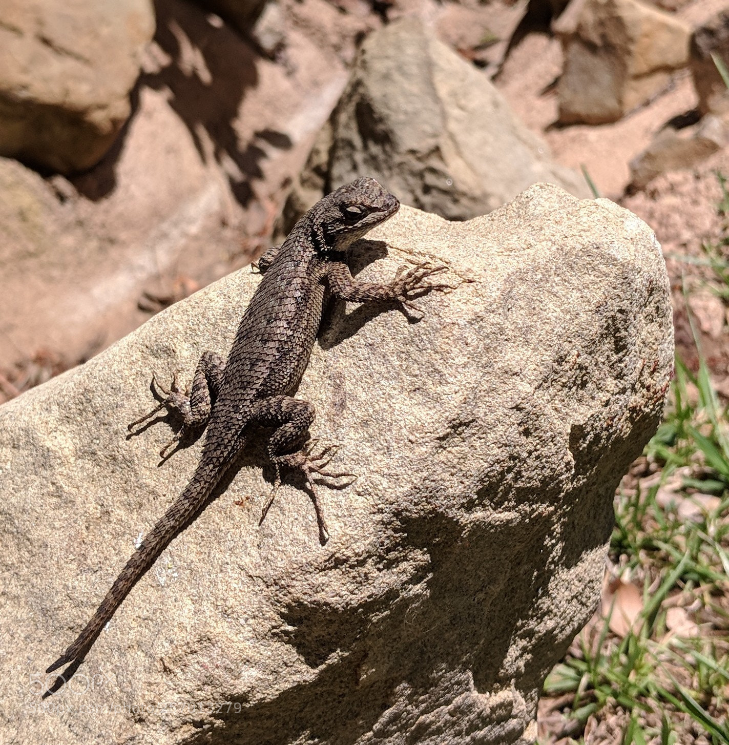 Google Pixel 2 XL sample photo. Untitled photography