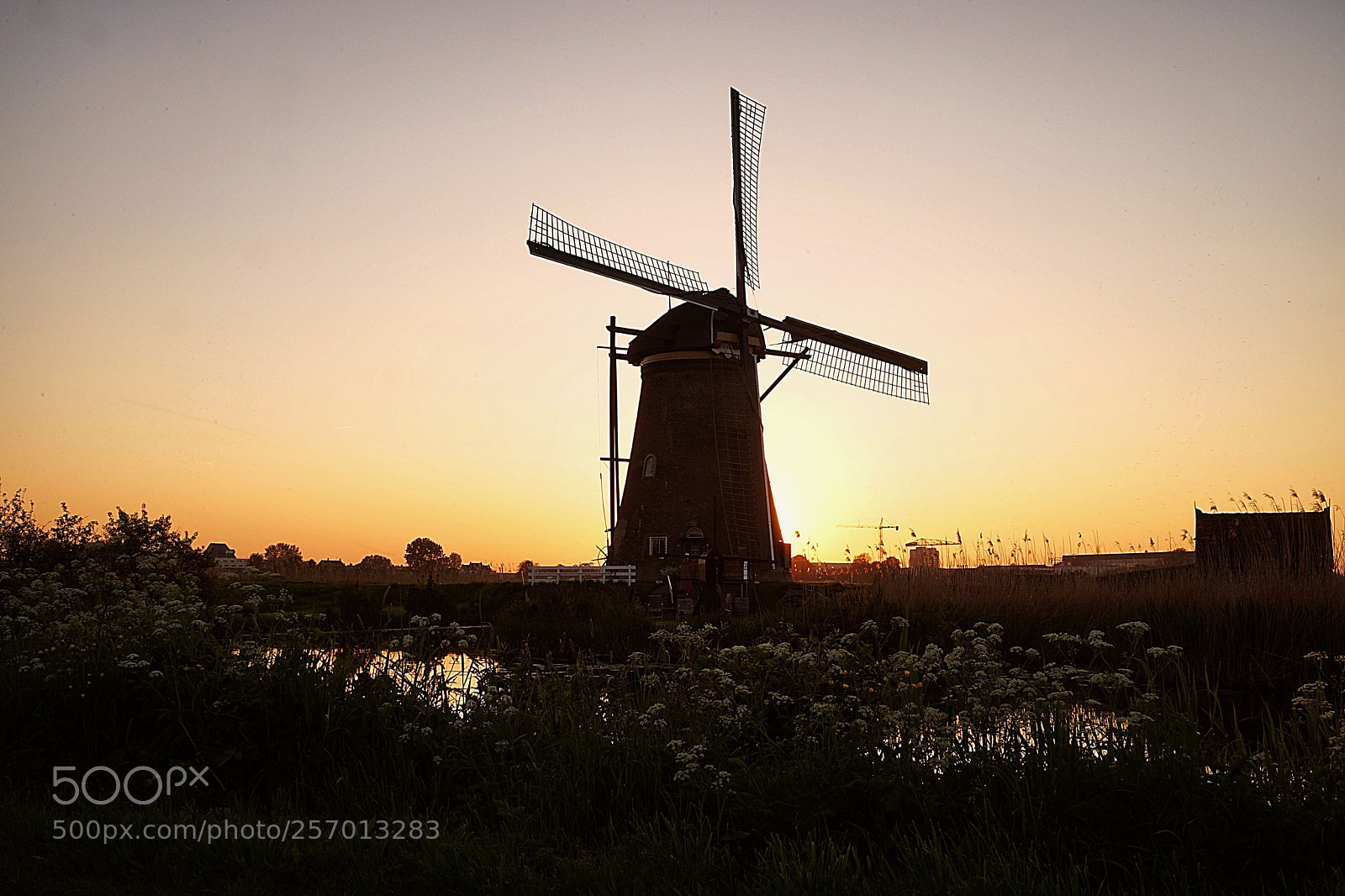 Sony a7 II sample photo. Kinderdijk. photography