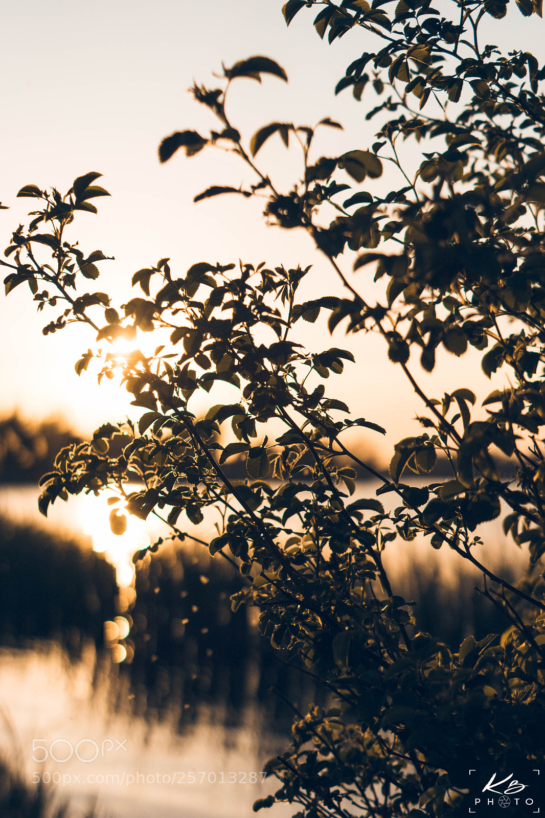 Sony SLT-A65 (SLT-A65V) sample photo. Nature sunset photography