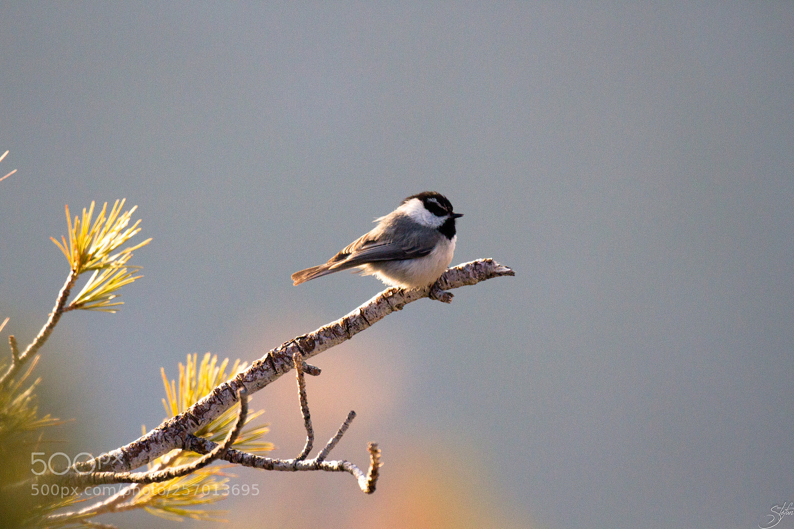 Canon EOS 7D sample photo. Img photography