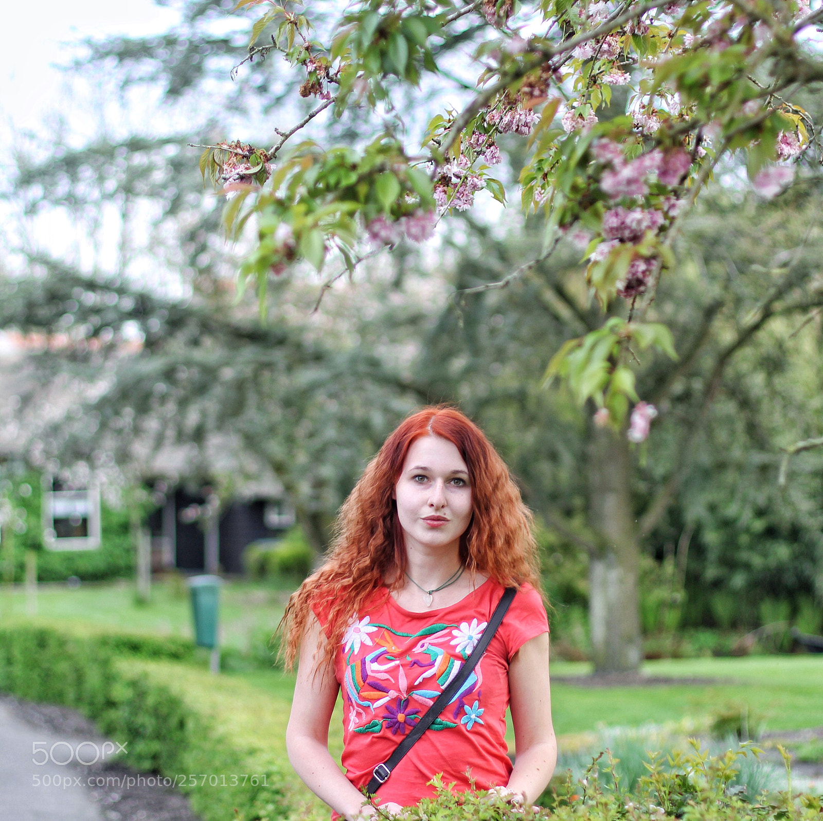 Canon EOS 60D sample photo. Processed with vsco with photography