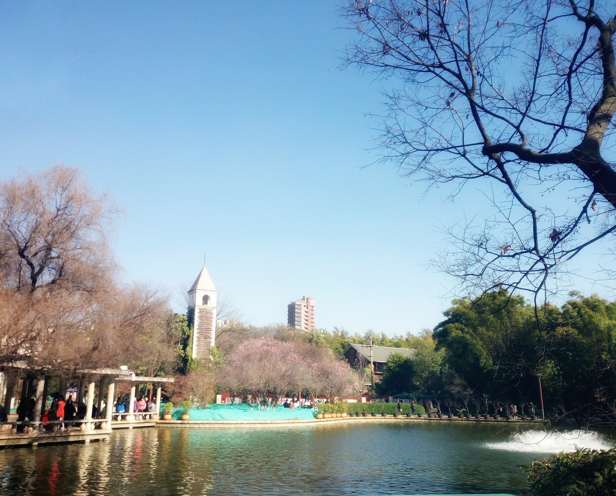 HUAWEI TANGO sample photo