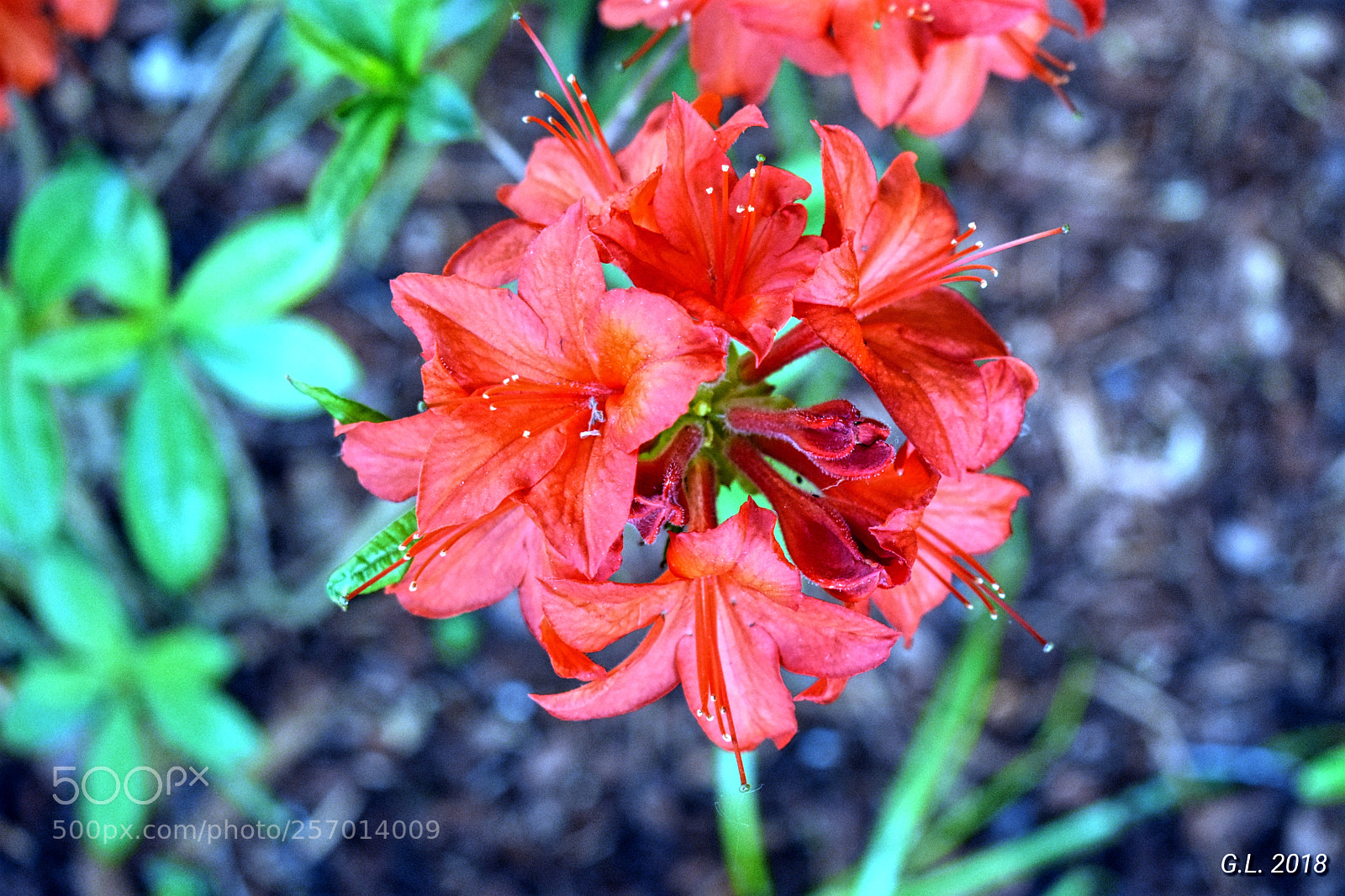 Nikon D3400 sample photo. Untitled photography