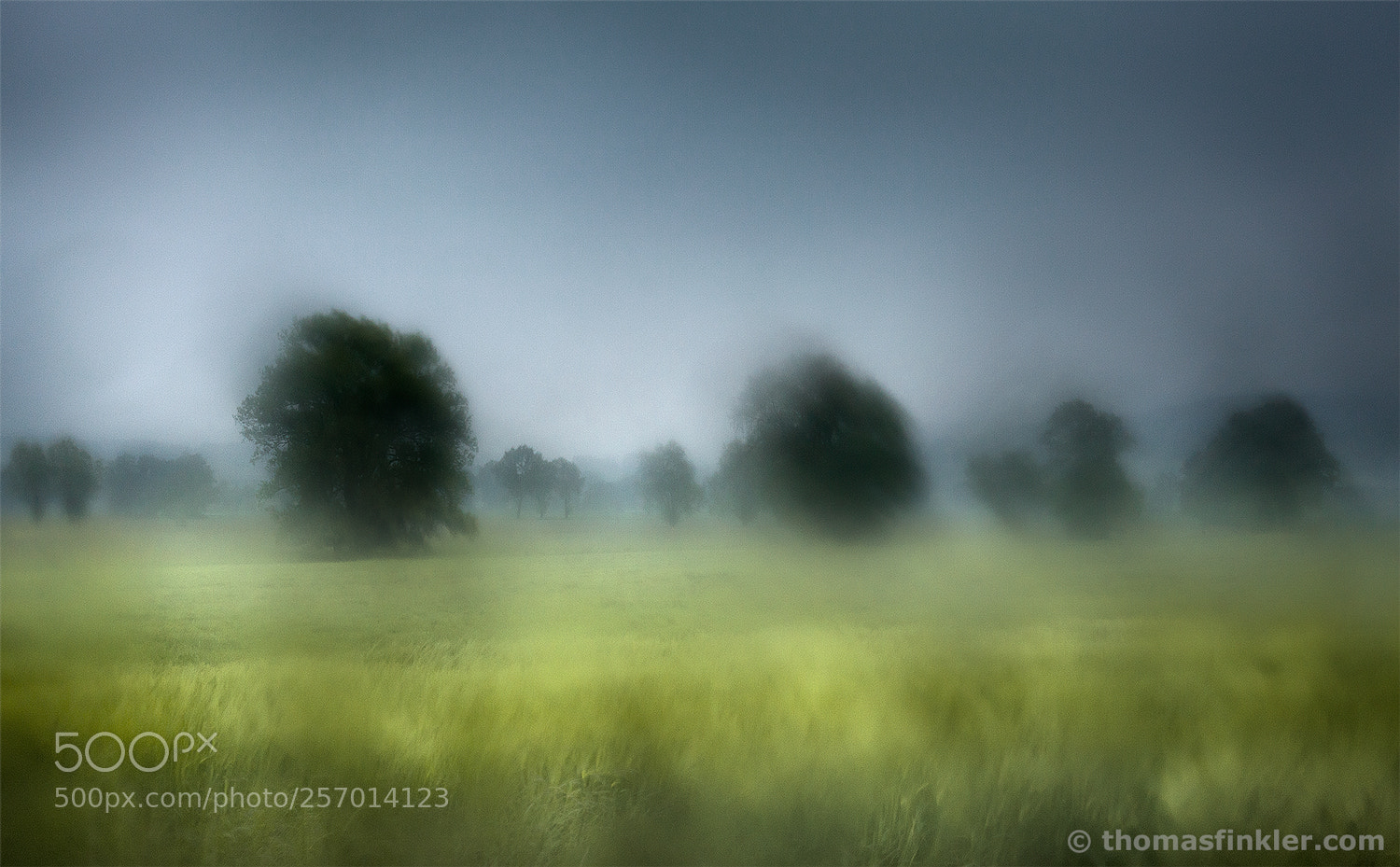 Canon EOS 5D Mark II sample photo. Summer rain [07|color] photography