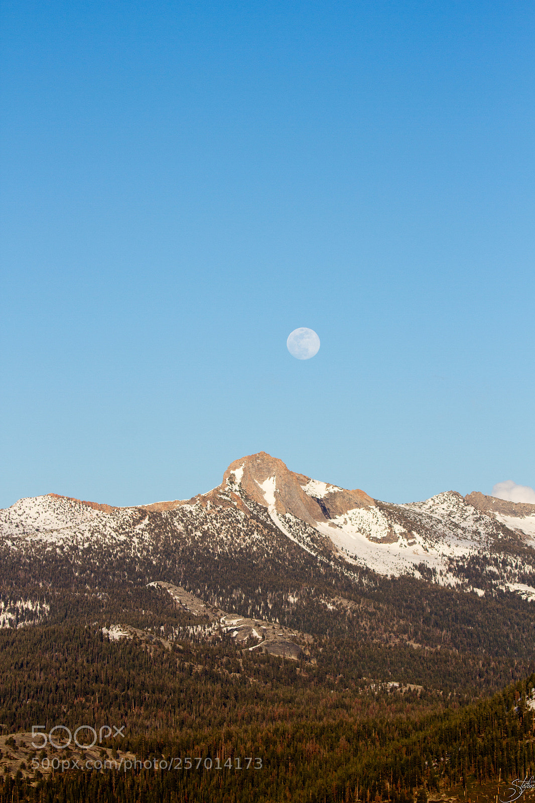 Canon EOS 7D sample photo. Wild moonrise photography