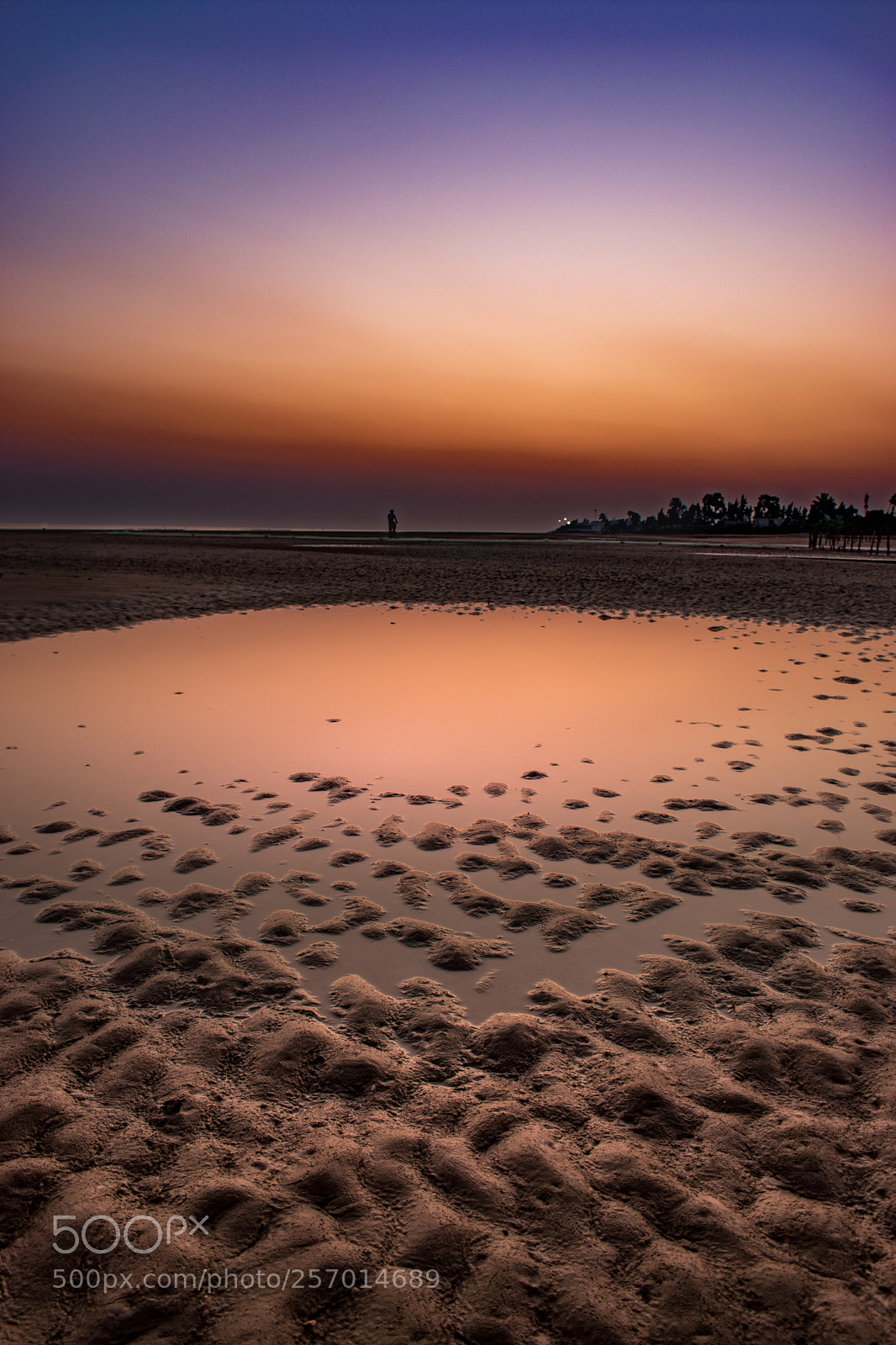 Nikon D5500 sample photo. Sunset hour photography