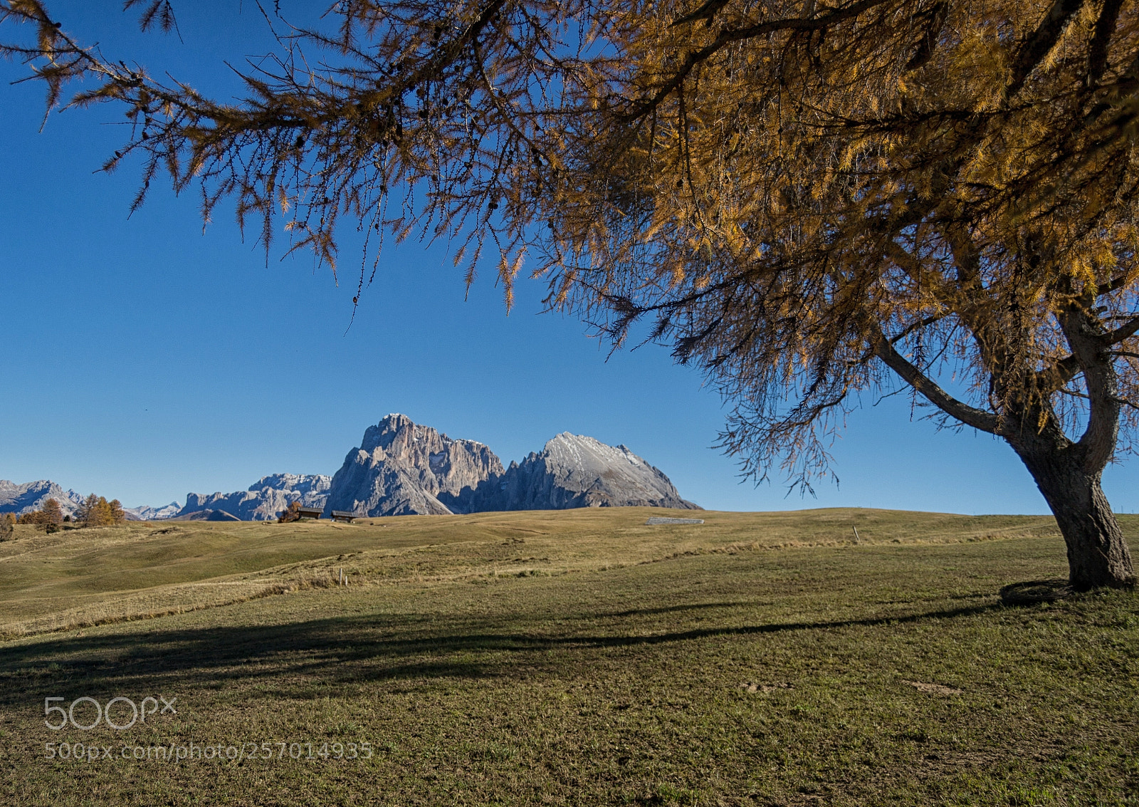 Nikon D3100 sample photo. Alpe de siusi, dolomites photography