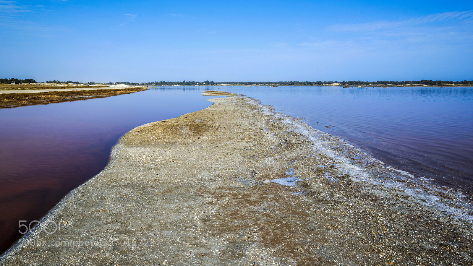 Nikon D600 sample photo. The pink lake in photography