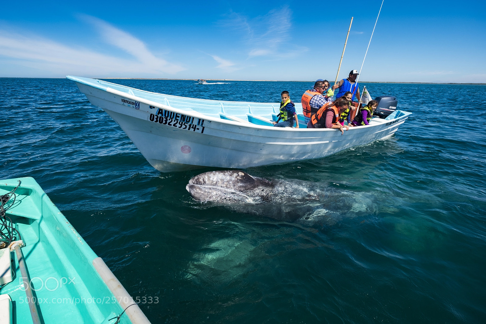 Fujifilm X-T2 sample photo. Wildlife in mexico photography