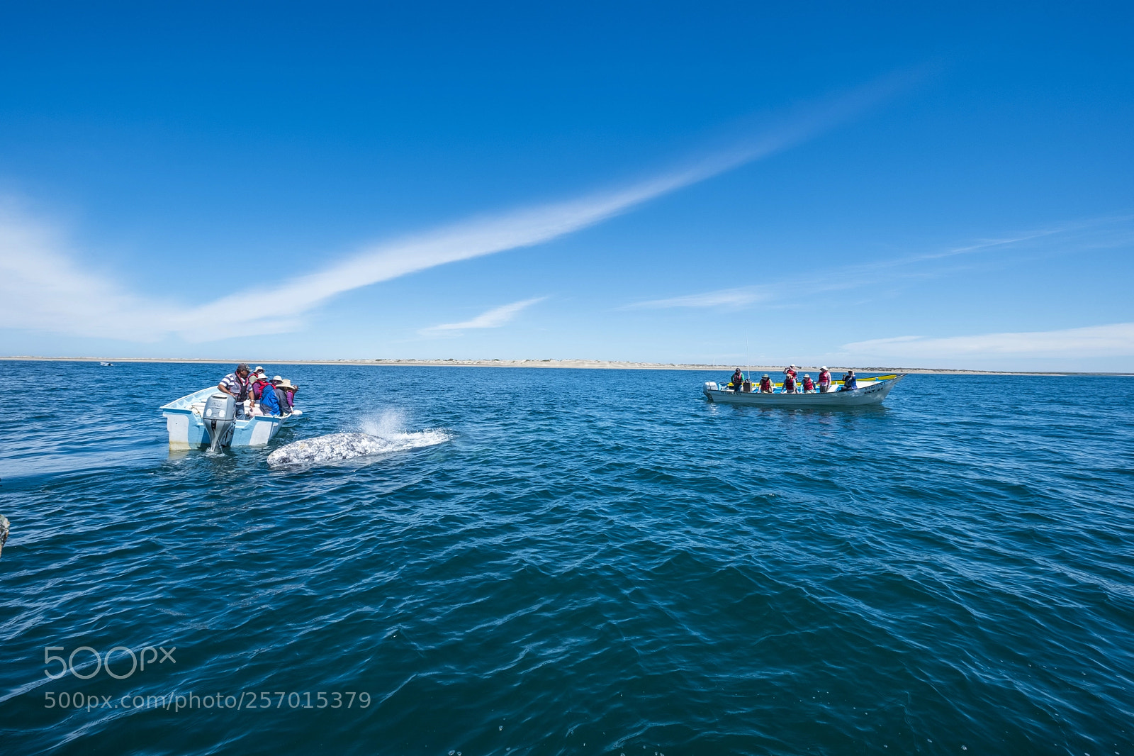 Fujifilm X-T2 sample photo. Wildlife in mexico photography
