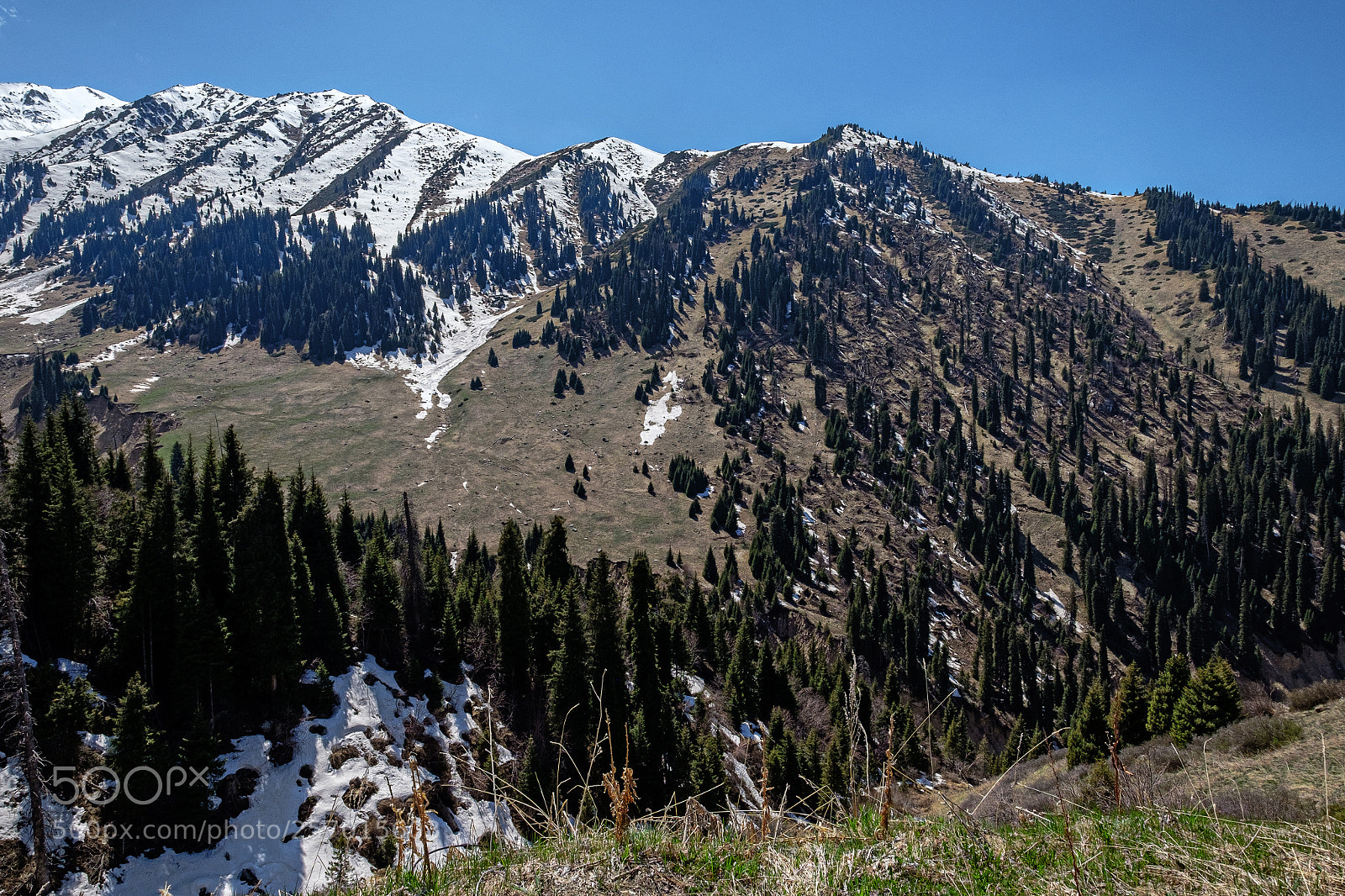 Fujifilm X-T1 sample photo. Kazakhstan. shimbulak. photography