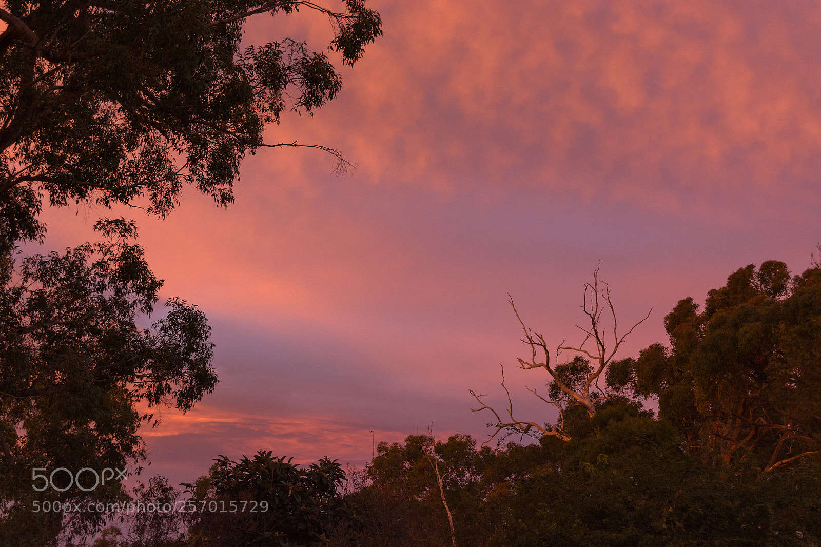 Nikon D7100 sample photo. Beautiful sky at first photography