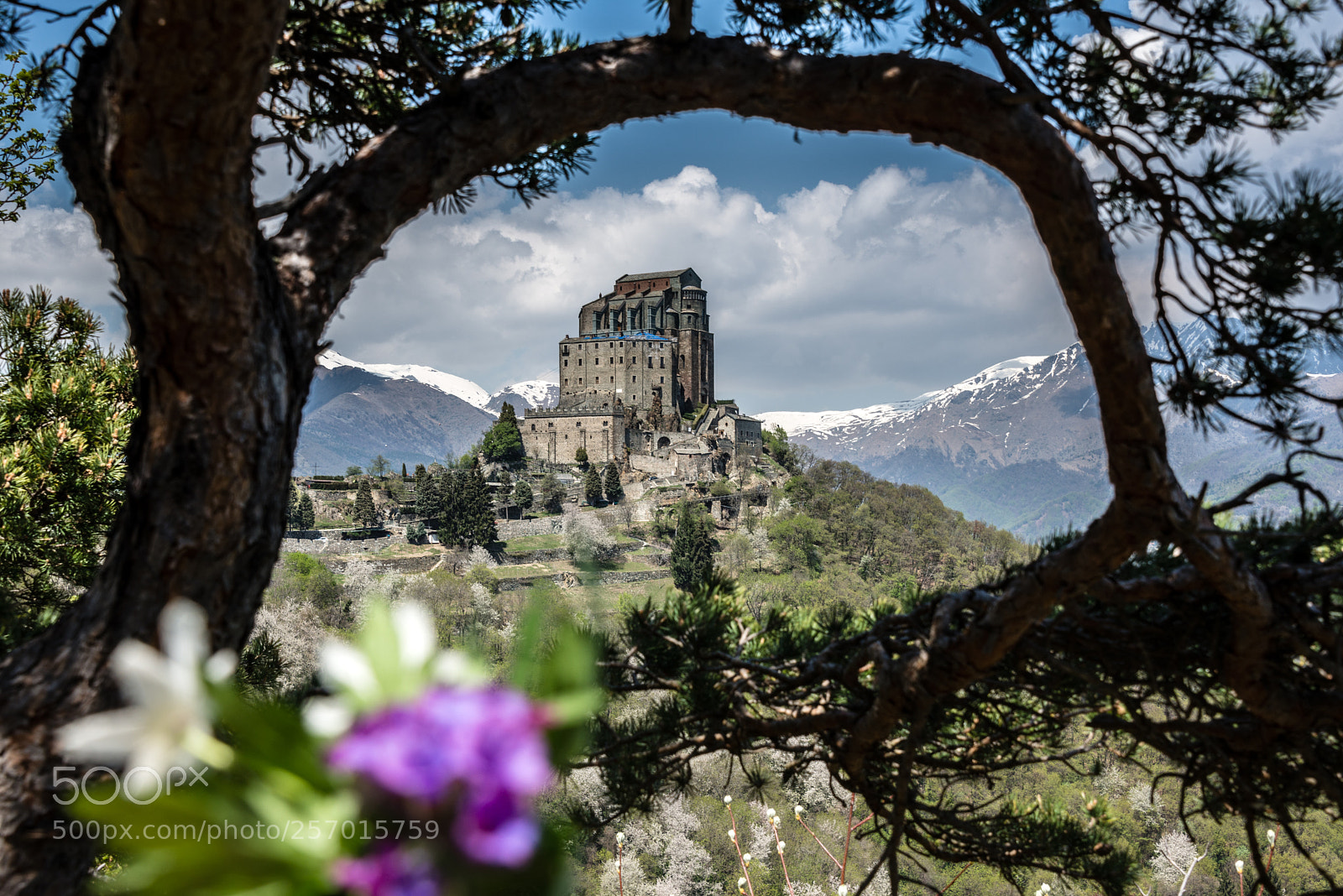 Nikon D610 sample photo. (spring window) photography