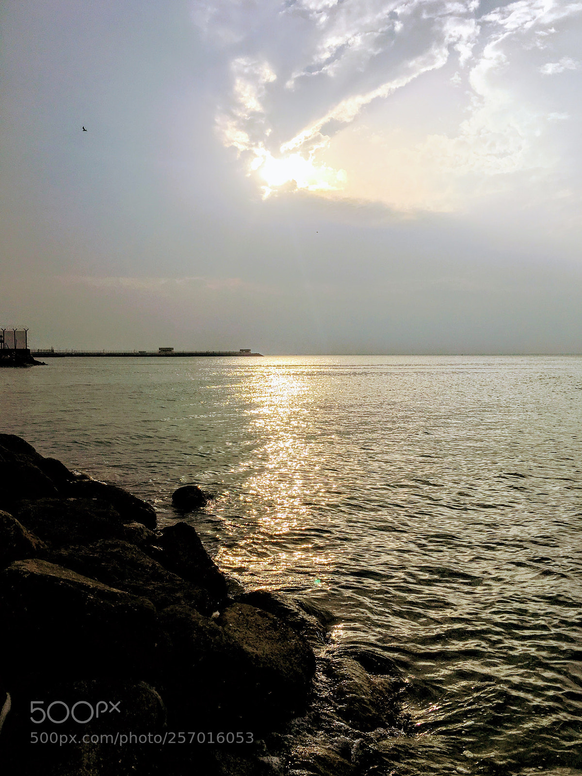 Apple iPhone 6s Plus sample photo. Golden light photography