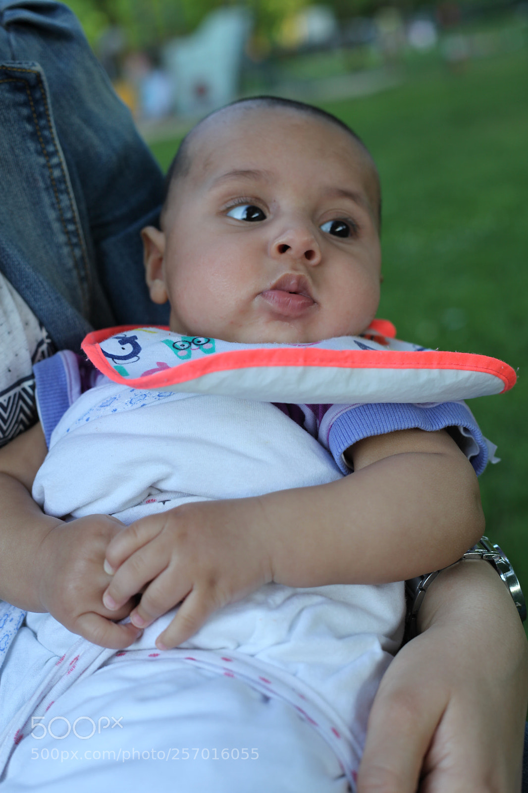 Canon EOS 5D Mark II sample photo. Untitled photography