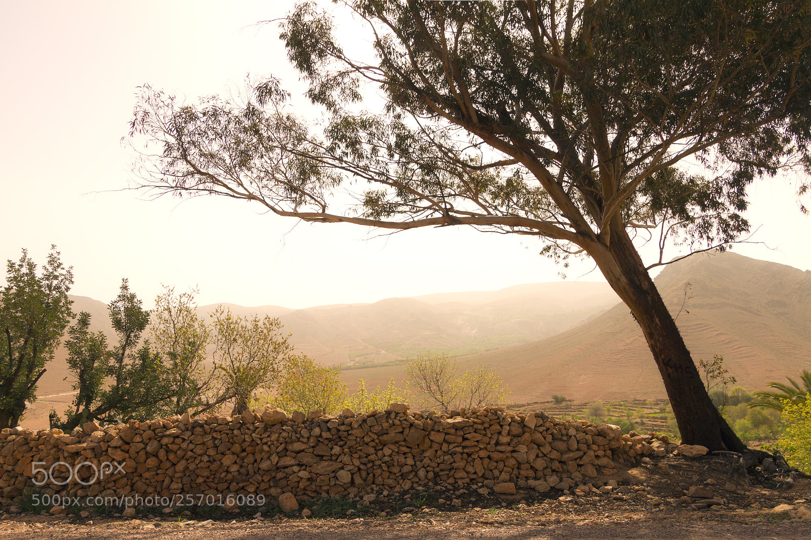 Canon EOS 7D sample photo. 2018-3885.jpg photography