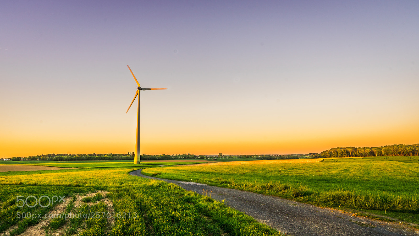 Sony a7 sample photo. To the wind photography