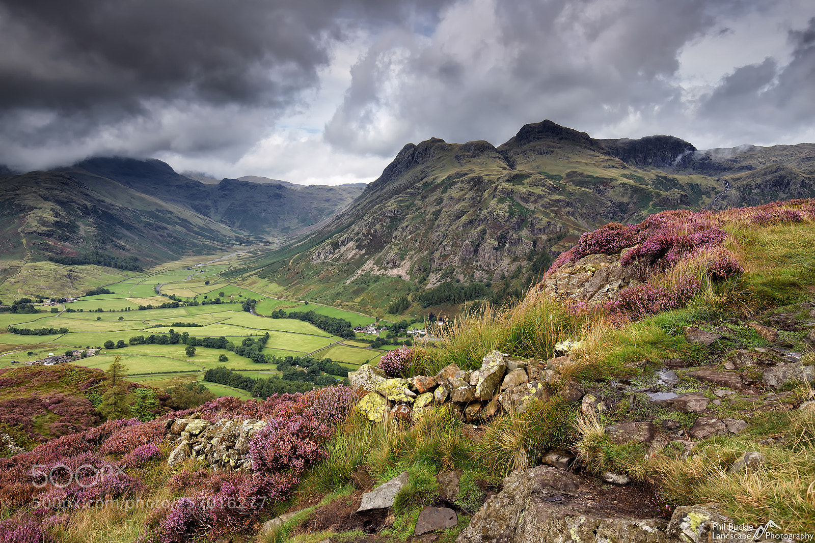 Canon EOS 6D sample photo. Side pike heather photography