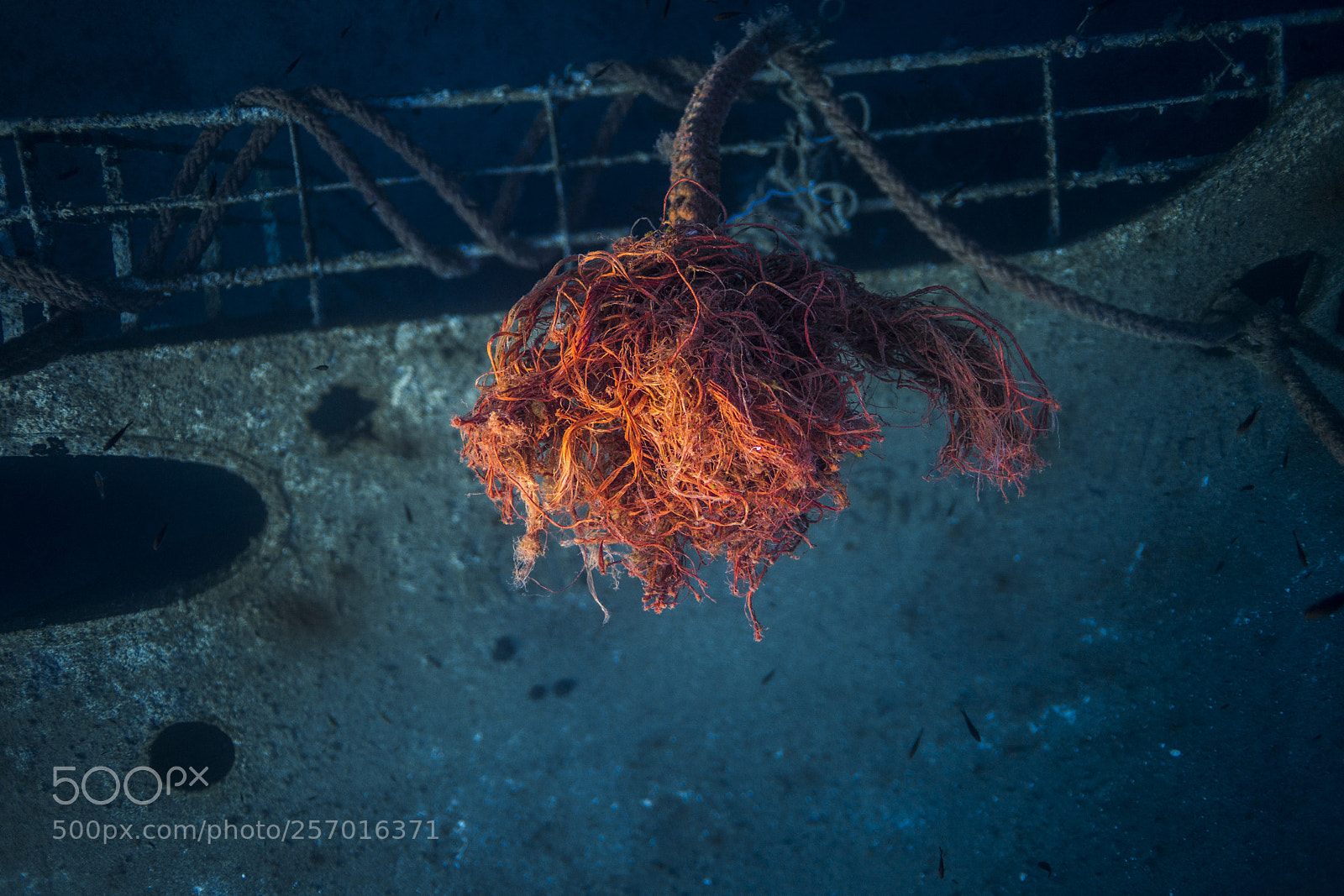 Sony a7 II sample photo. Rope photography