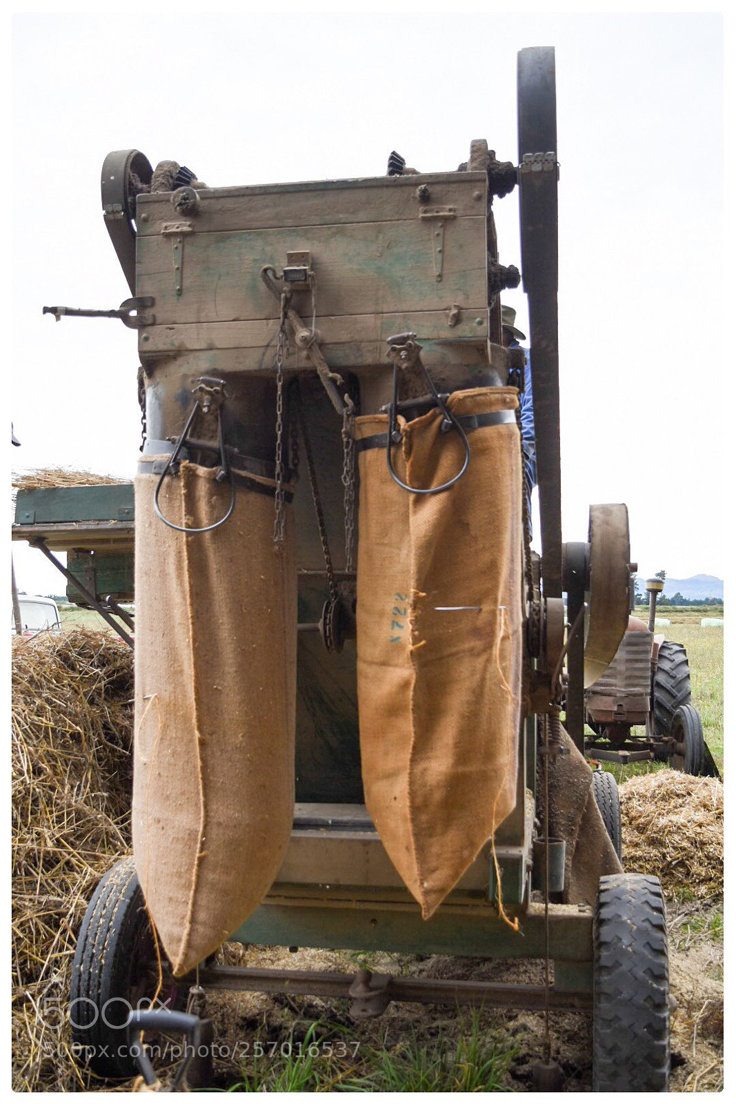 Nikon D5500 sample photo. Automatically filling the sacks  photography