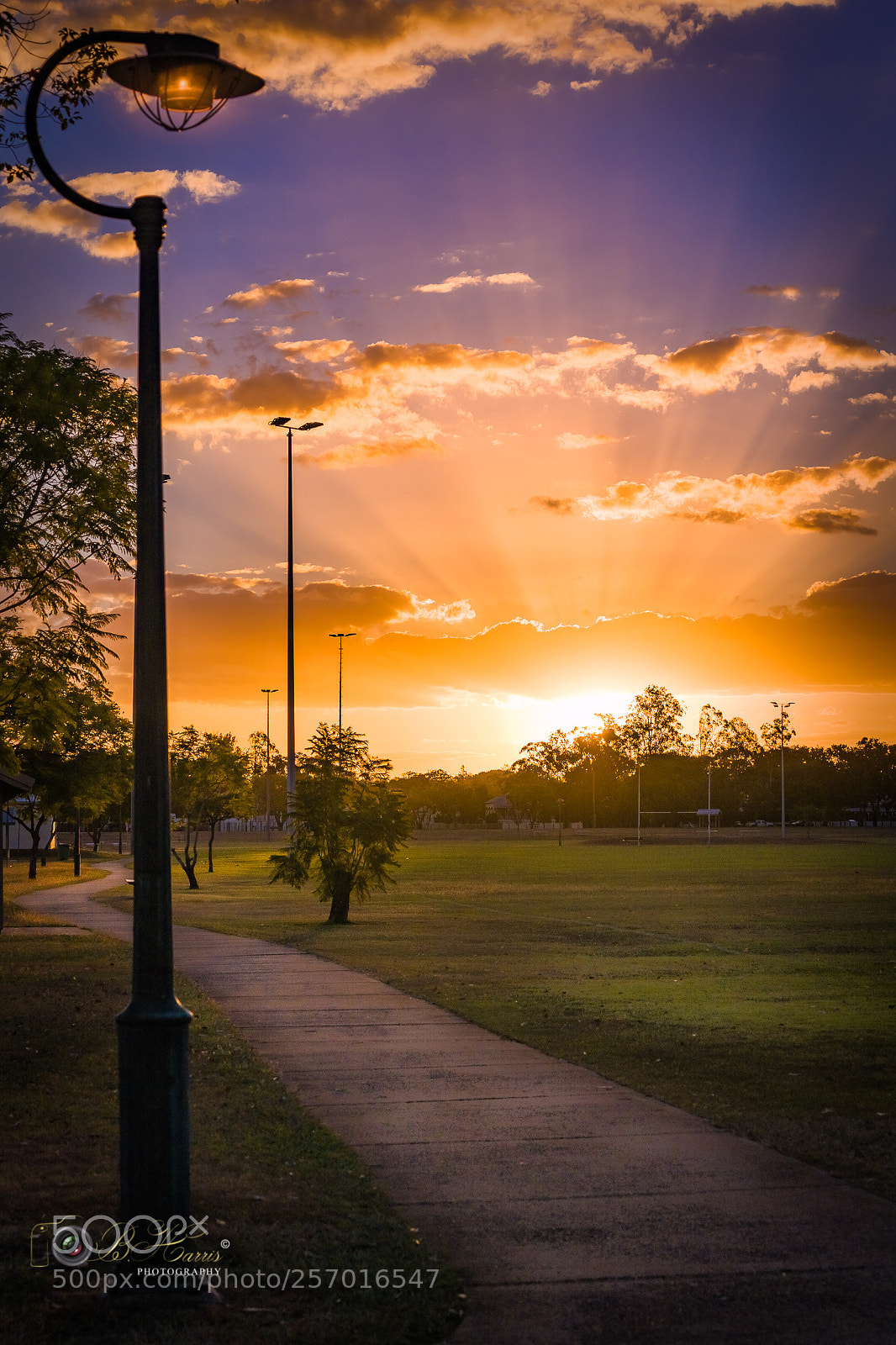 Sony a7 III sample photo. Magical sunset. photography