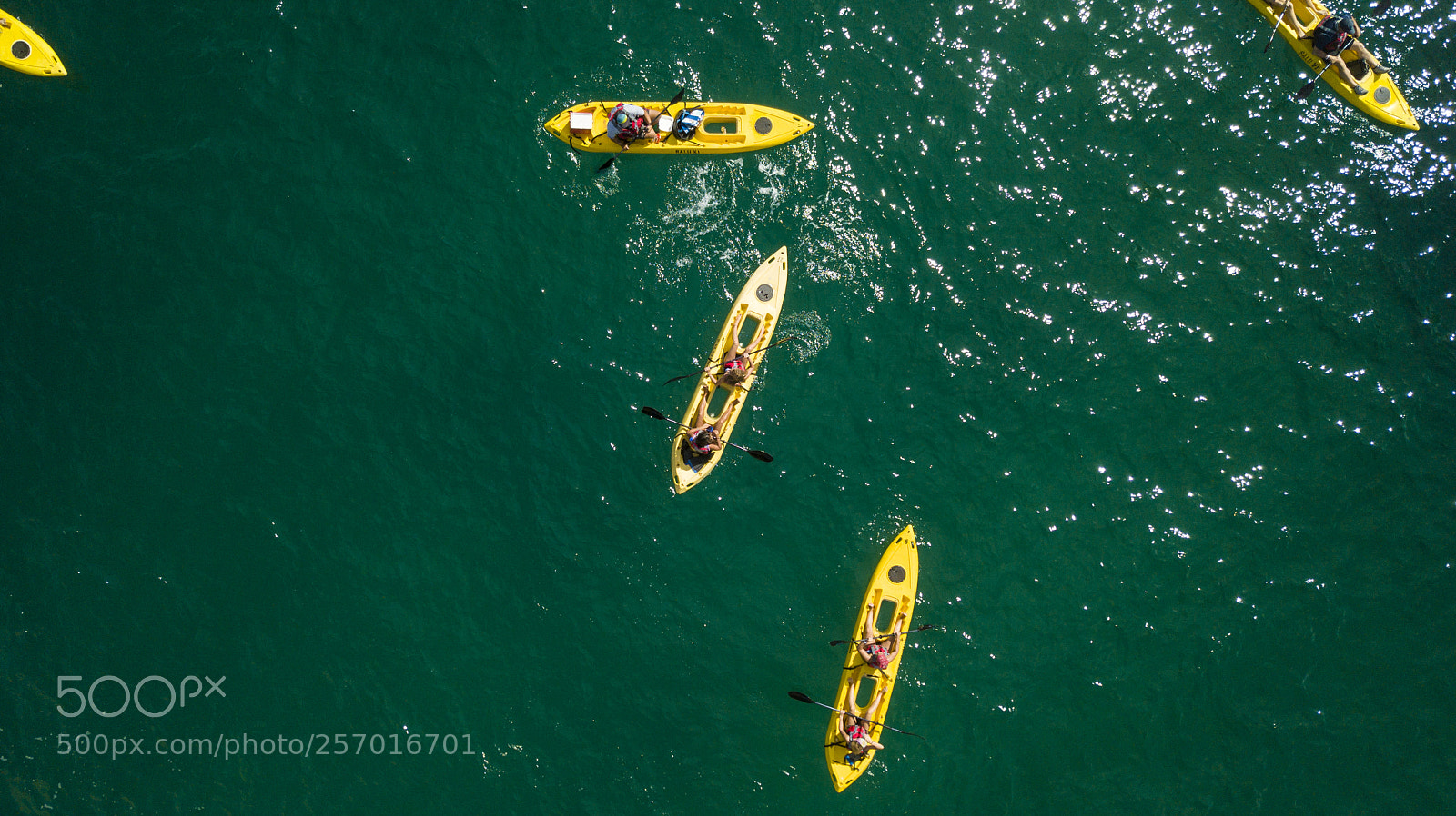 DJI FC220 sample photo. Outdoor activities in the photography