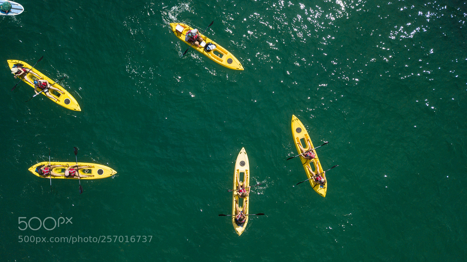 DJI FC220 sample photo. Outdoor activities in the photography
