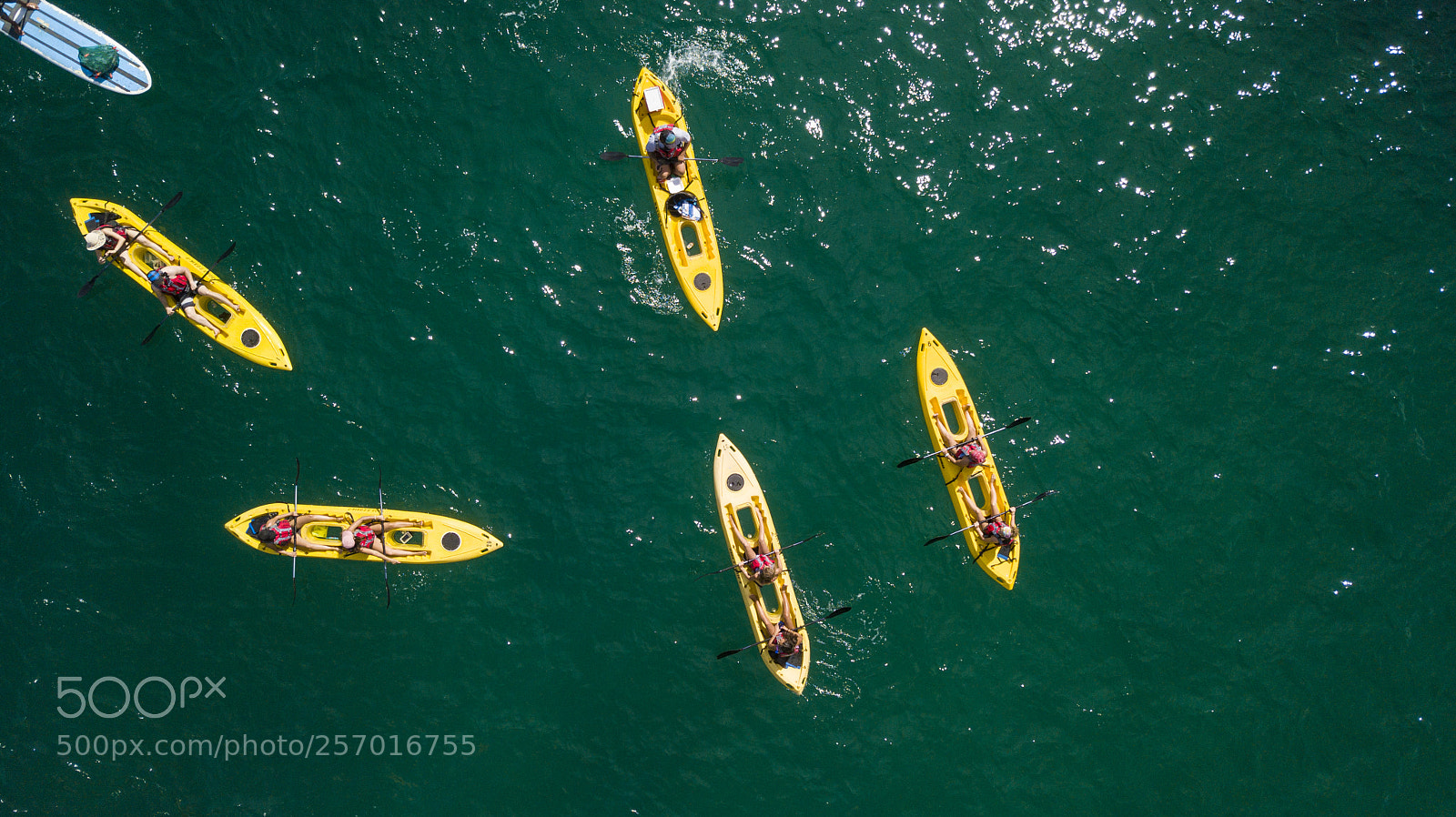 DJI FC220 sample photo. Outdoor activities in the photography