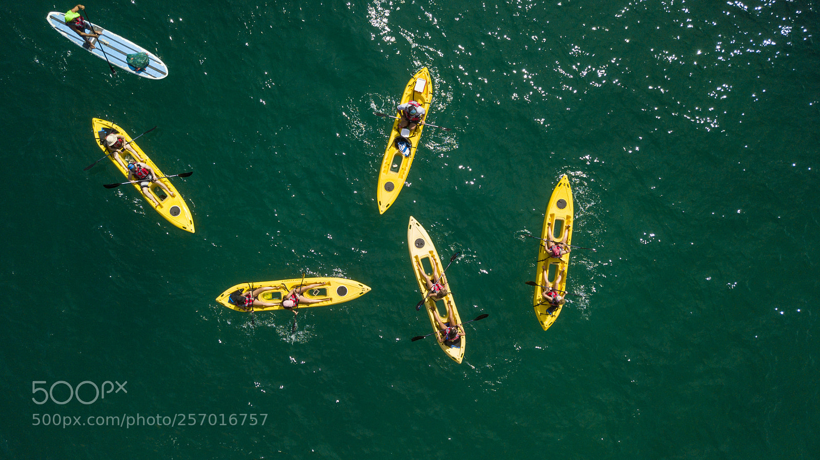 DJI FC220 sample photo. Outdoor activities in the photography