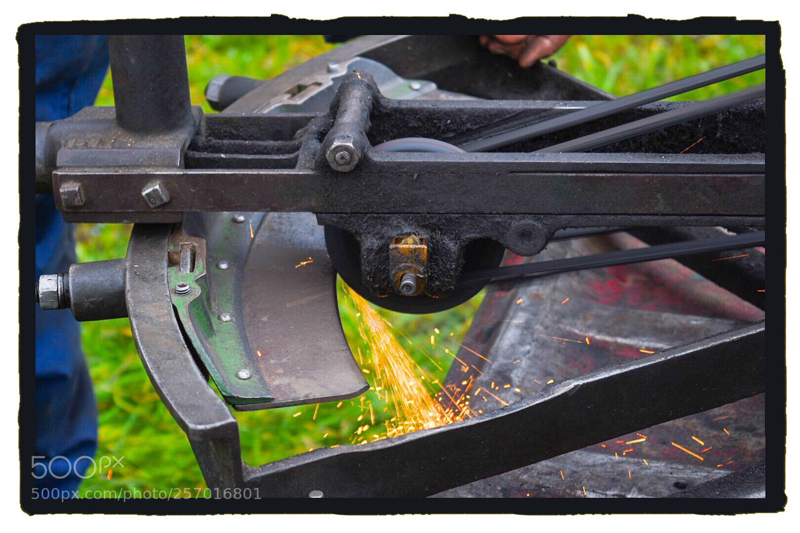 Nikon D5500 sample photo. Sharpen the cutters blades  photography